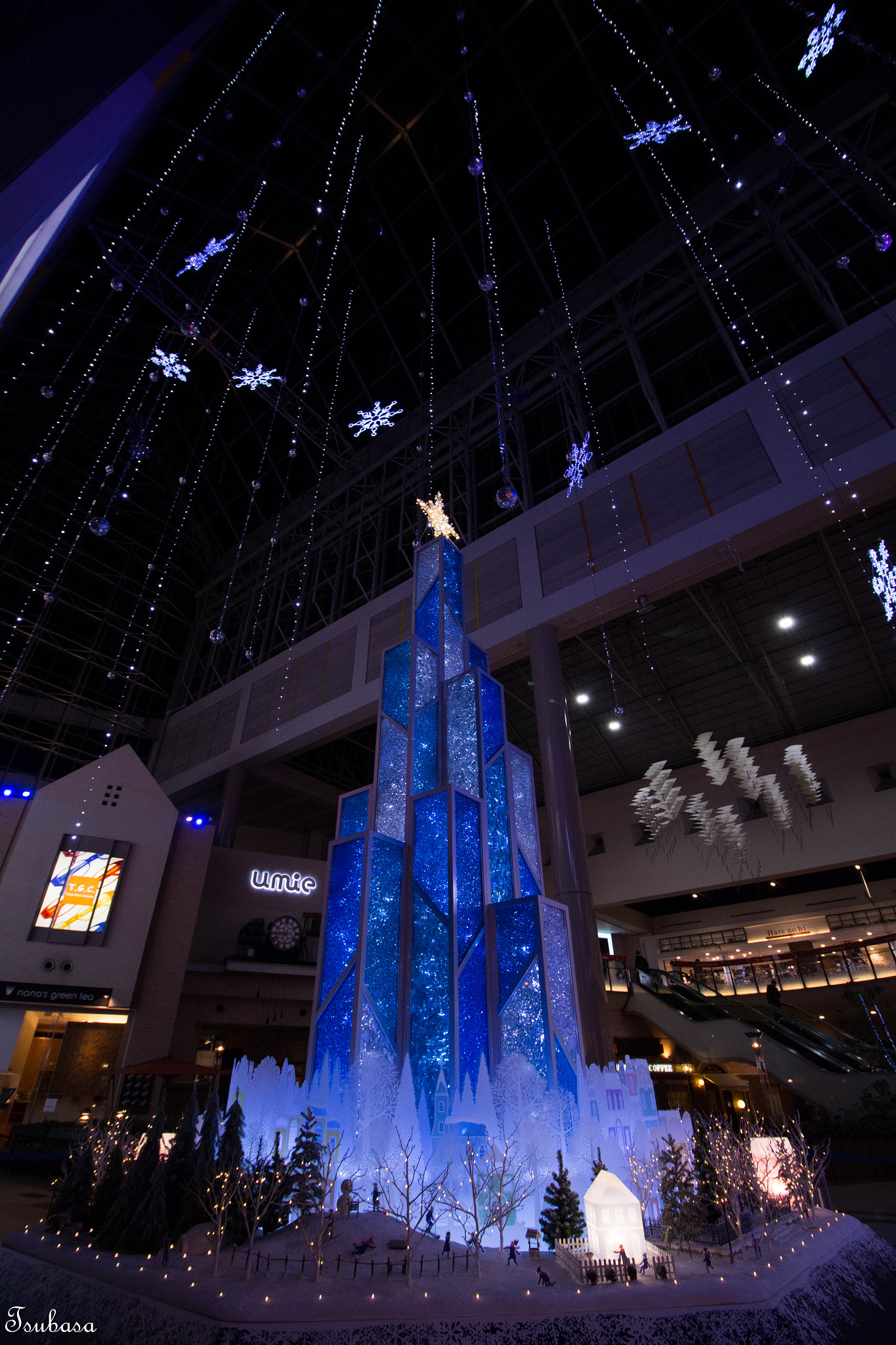 Canon EOS 700D (EOS Rebel T5i / EOS Kiss X7i) sample photo. Christmas tree photography