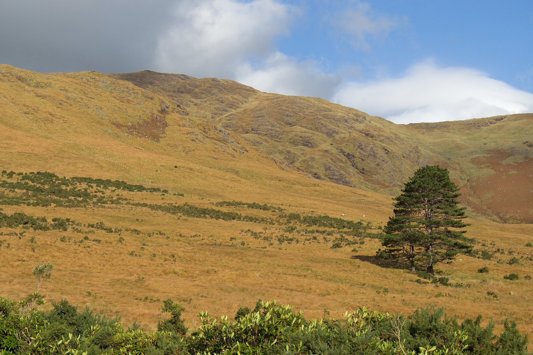 Nikon D3200 + 18.00 - 55.00 mm f/3.5 - 5.6 sample photo. Connemara photography