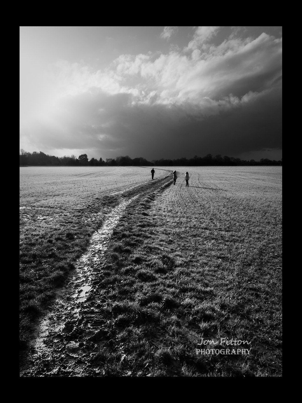 Olympus OM-D E-M5 II + Olympus M.Zuiko Digital 17mm F2.8 Pancake sample photo. Horsham meadow photography