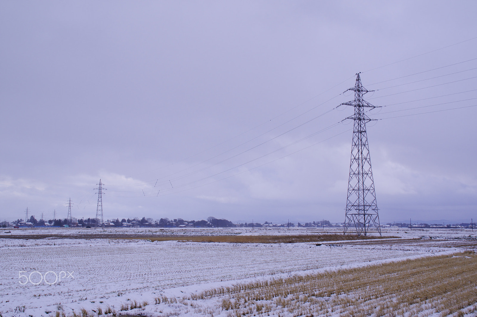 Tamron AF 18-200mm F3.5-6.3 XR Di II LD Aspherical (IF) Macro sample photo. "日本の冬"japanese winter photography