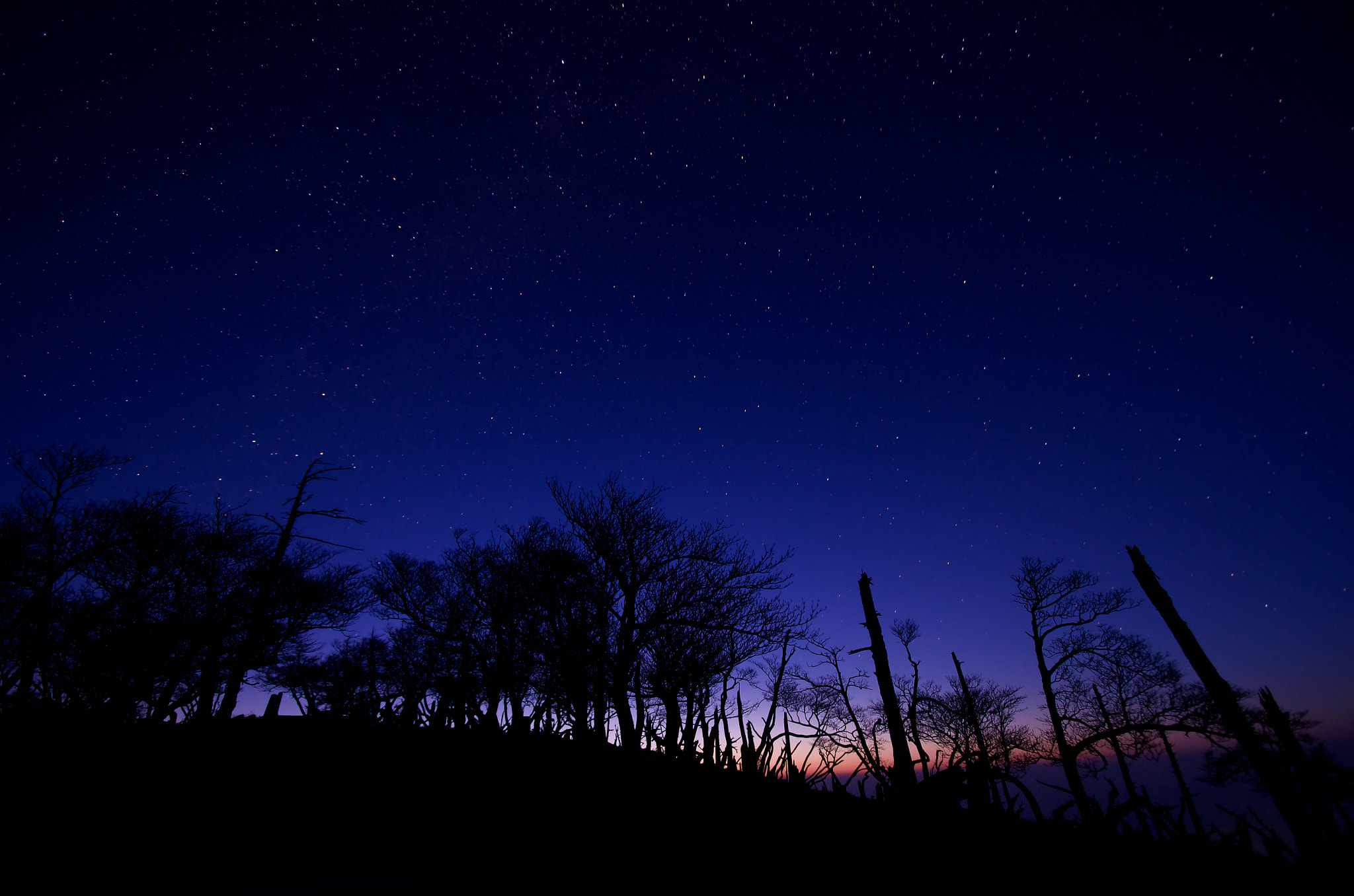 Pentax K-5 II sample photo. Jmgp6652.jpg photography