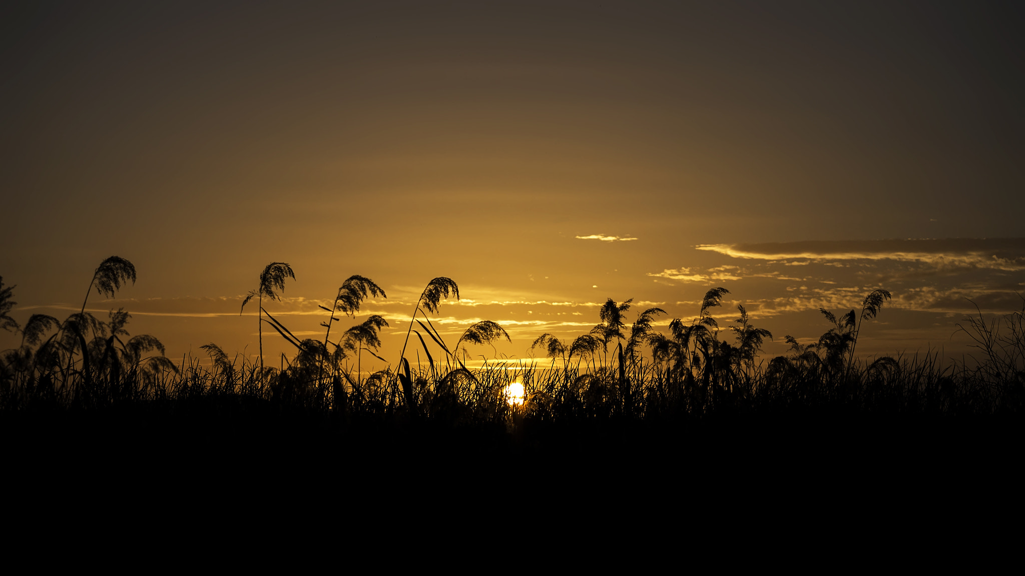 Olympus Zuiko Digital ED 40-150mm F4.0-5.6 sample photo. The last light photography