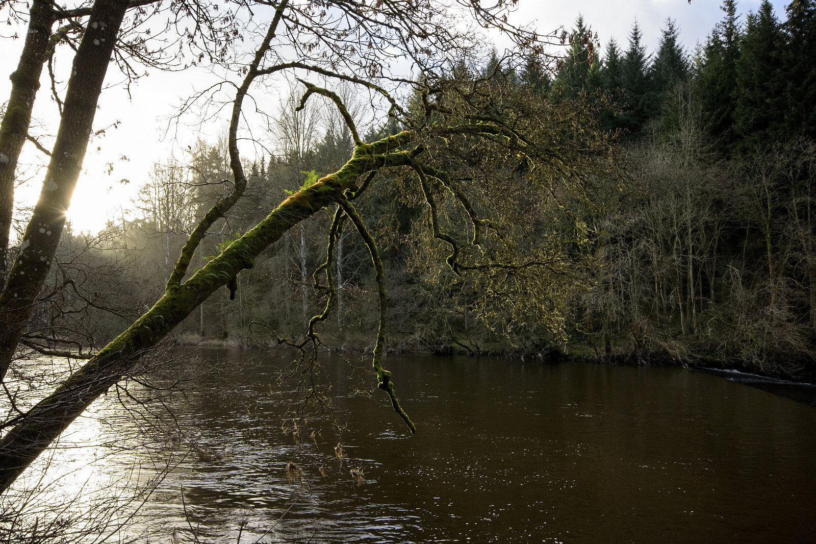 Sigma 10-20mm F4-5.6 EX DC HSM sample photo. New lanark photography