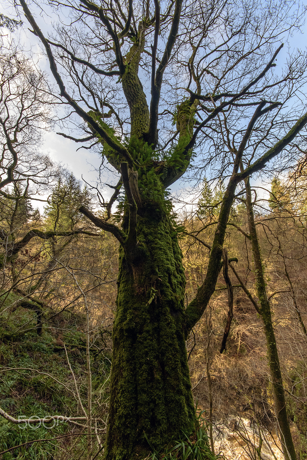 Sigma 10-20mm F4-5.6 EX DC HSM sample photo. New lanark photography