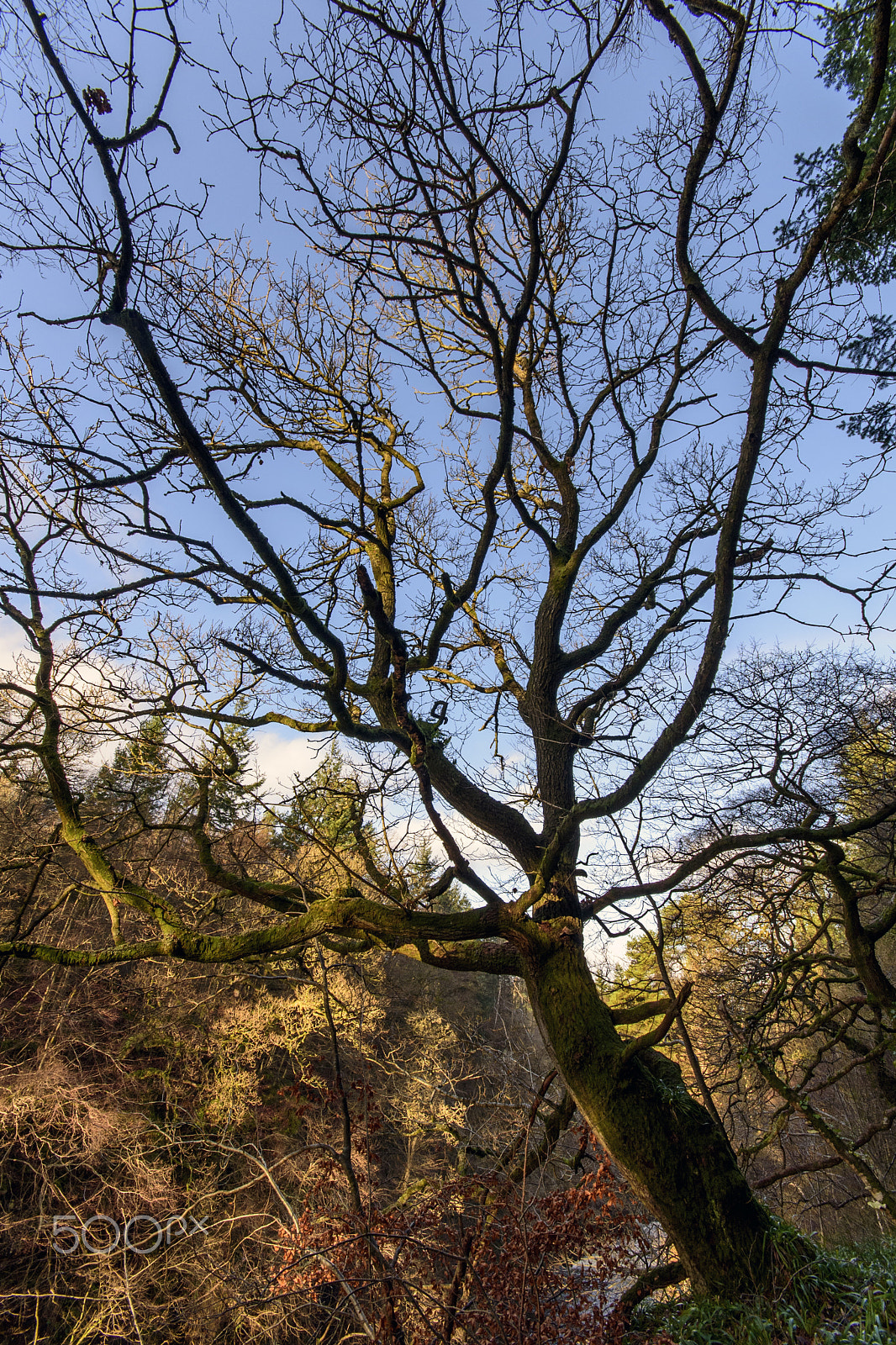 Sigma 10-20mm F4-5.6 EX DC HSM sample photo. New lanark photography