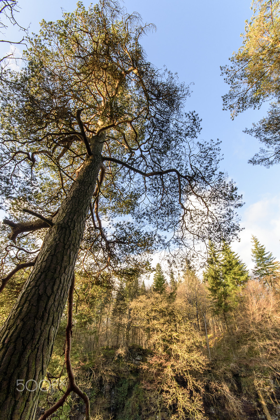 Sigma 10-20mm F4-5.6 EX DC HSM sample photo. New lanark photography