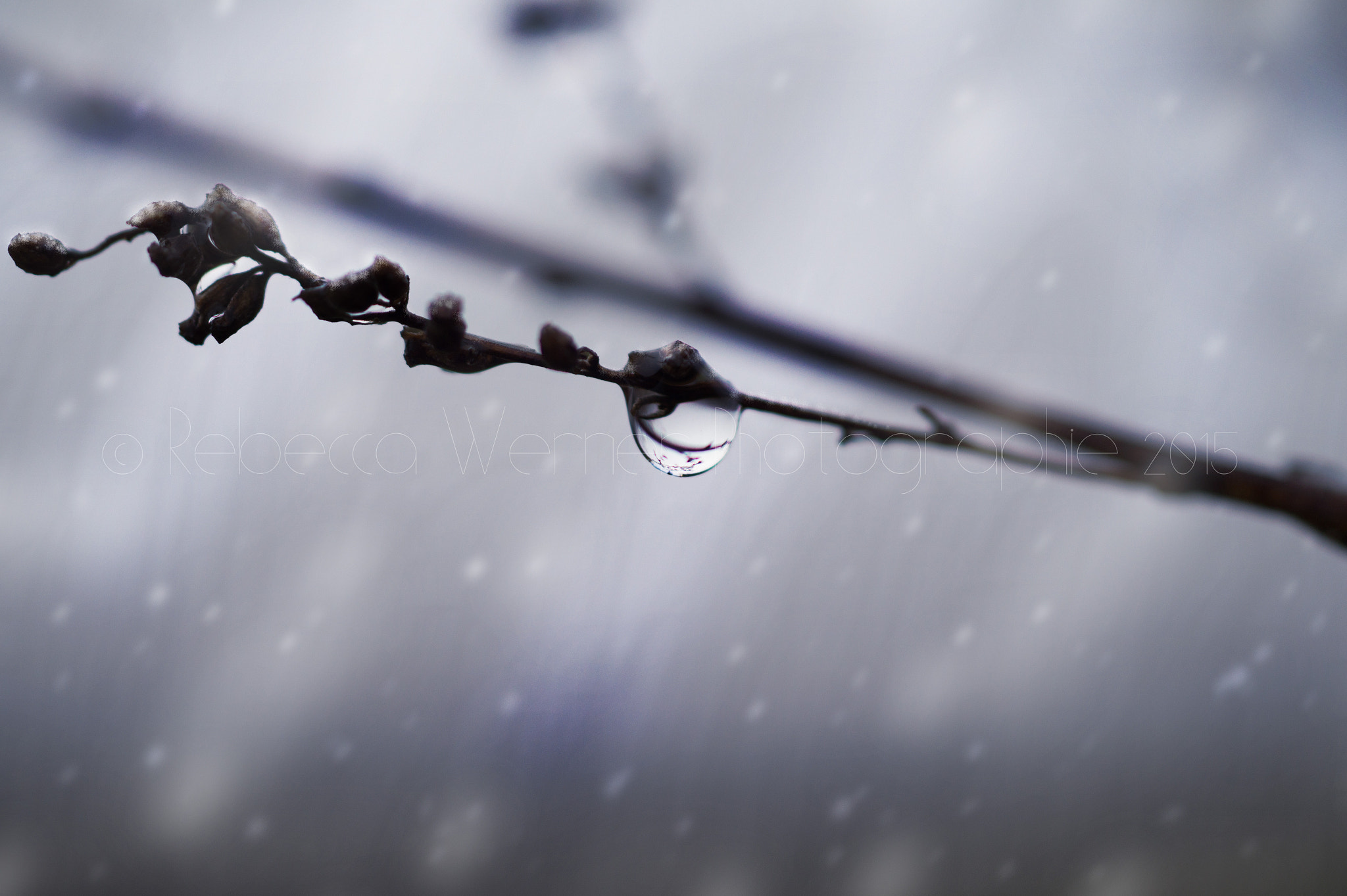 Sony SLT-A58 + Sony 50mm F2.8 Macro sample photo. Snow is falling all around me photography