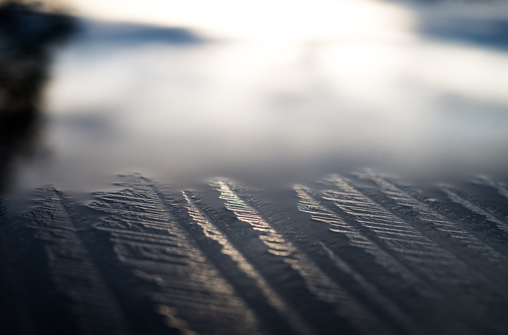 Pentax smc DA 35mm F2.8 Macro Limited sample photo. Frozen lake photography