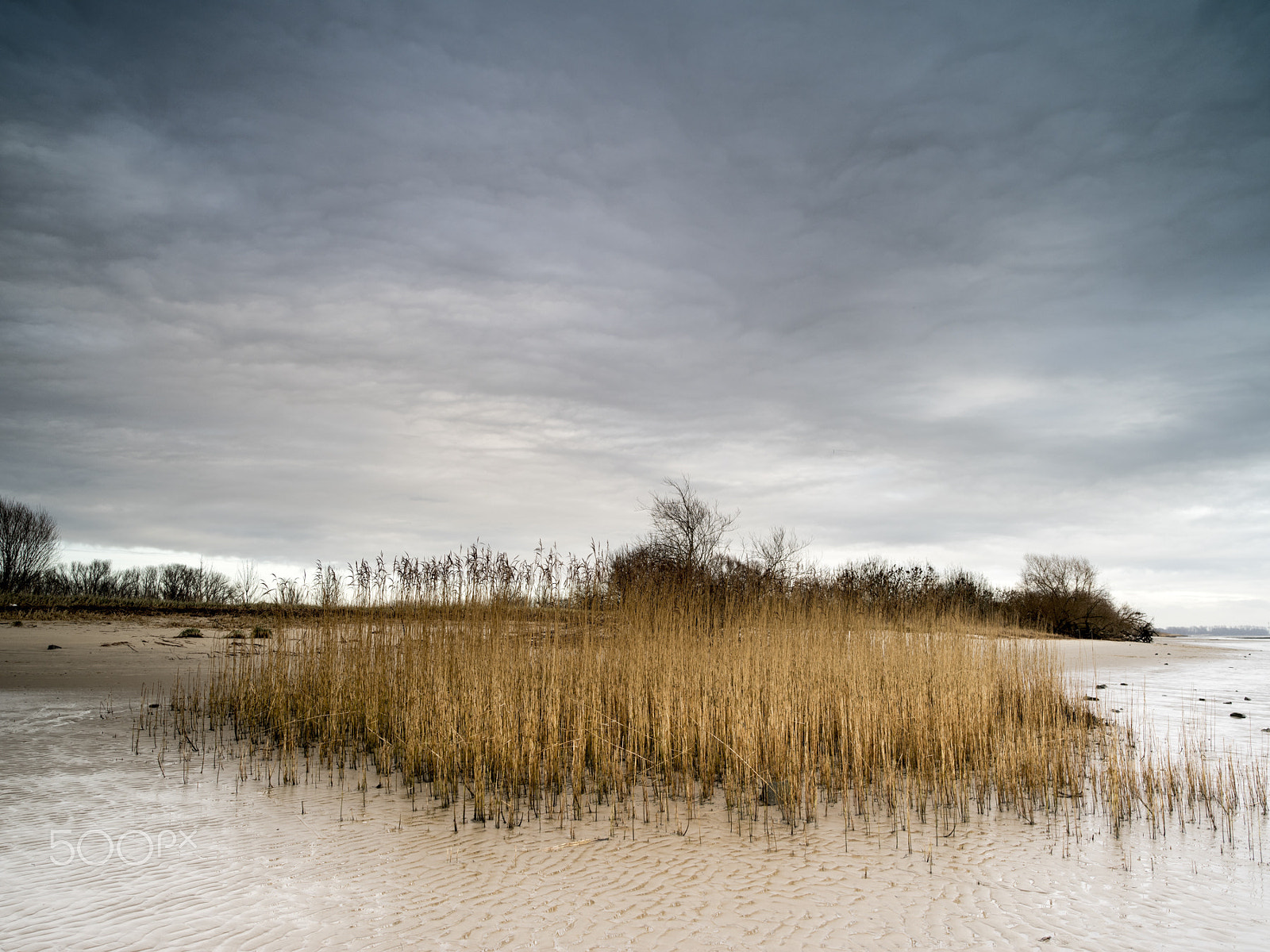 Pentax 645Z sample photo. Ab in die binsen photography