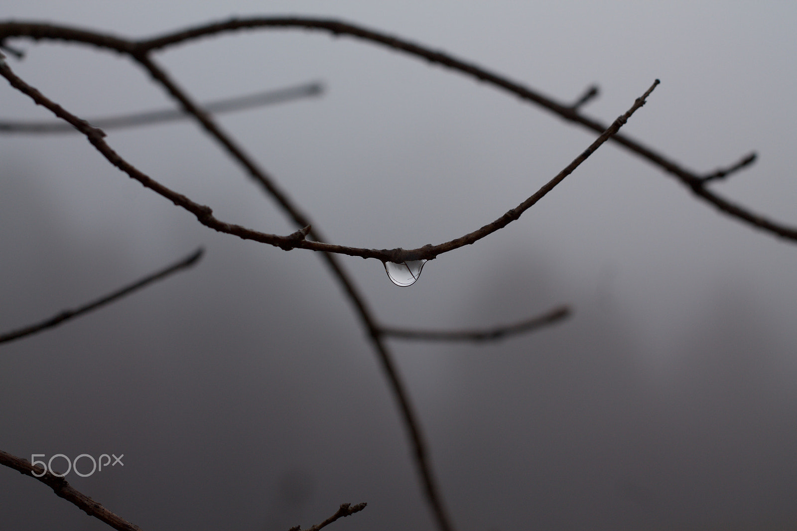 Canon EF 40mm F2.8 STM sample photo. Solitary photography