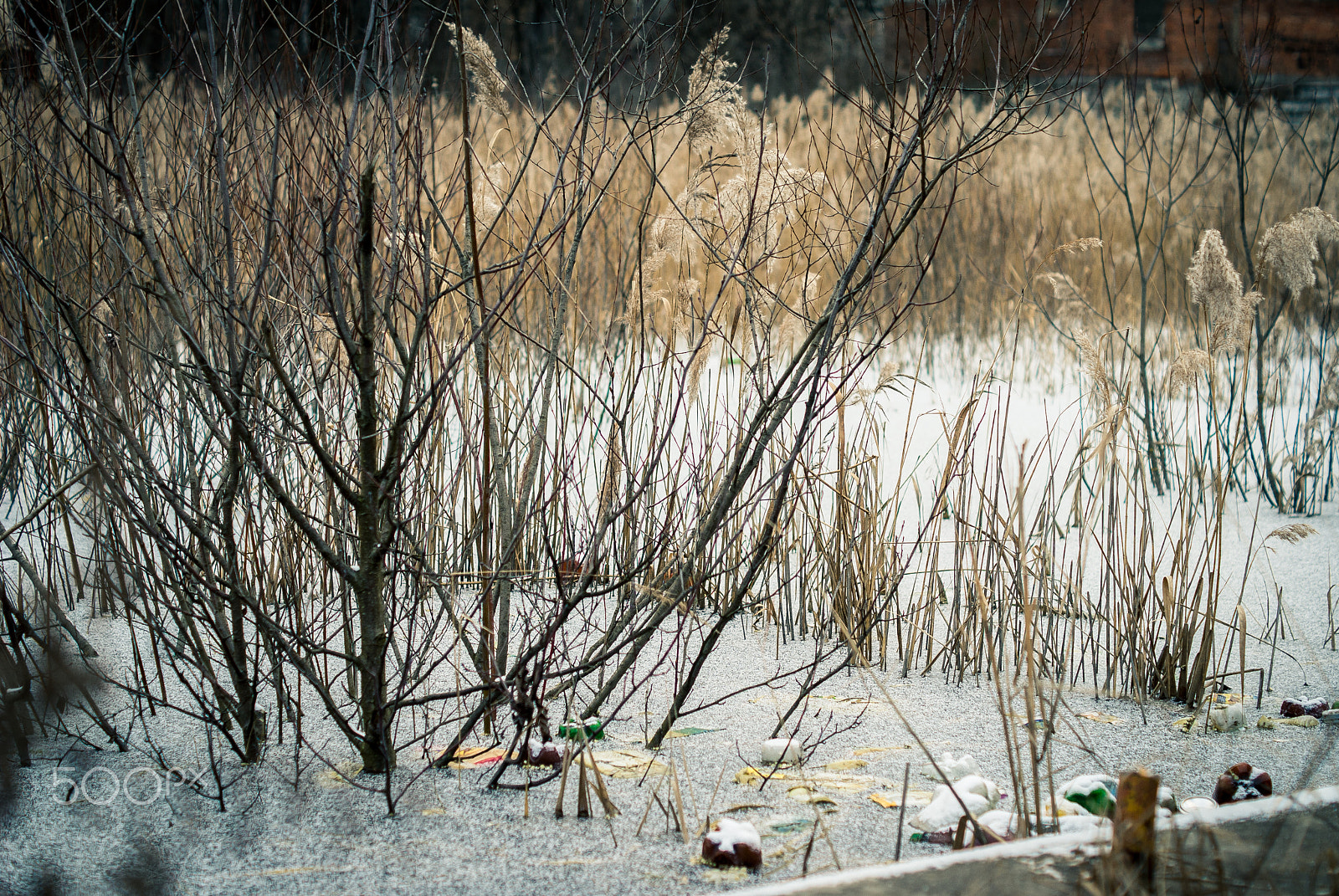 Sony Alpha DSLR-A300 sample photo. Lost and found photography