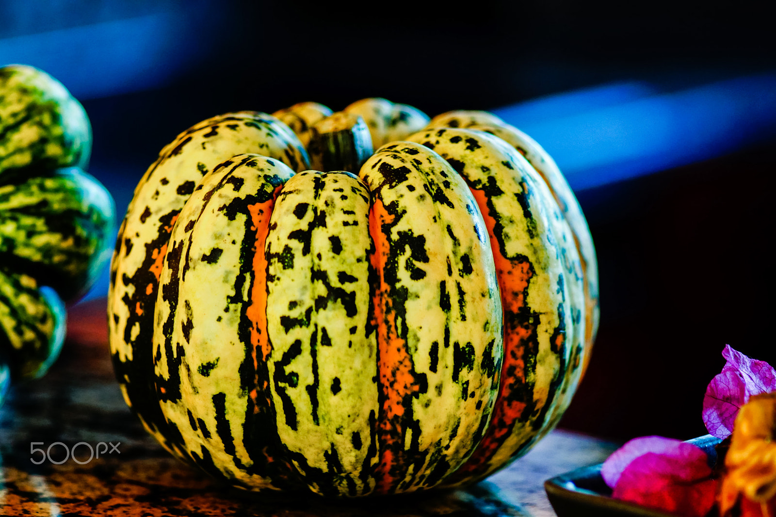 Sony ILCA-77M2 + Minolta AF 100mm F2.8 Macro [New] sample photo. Pumpkin still life photography