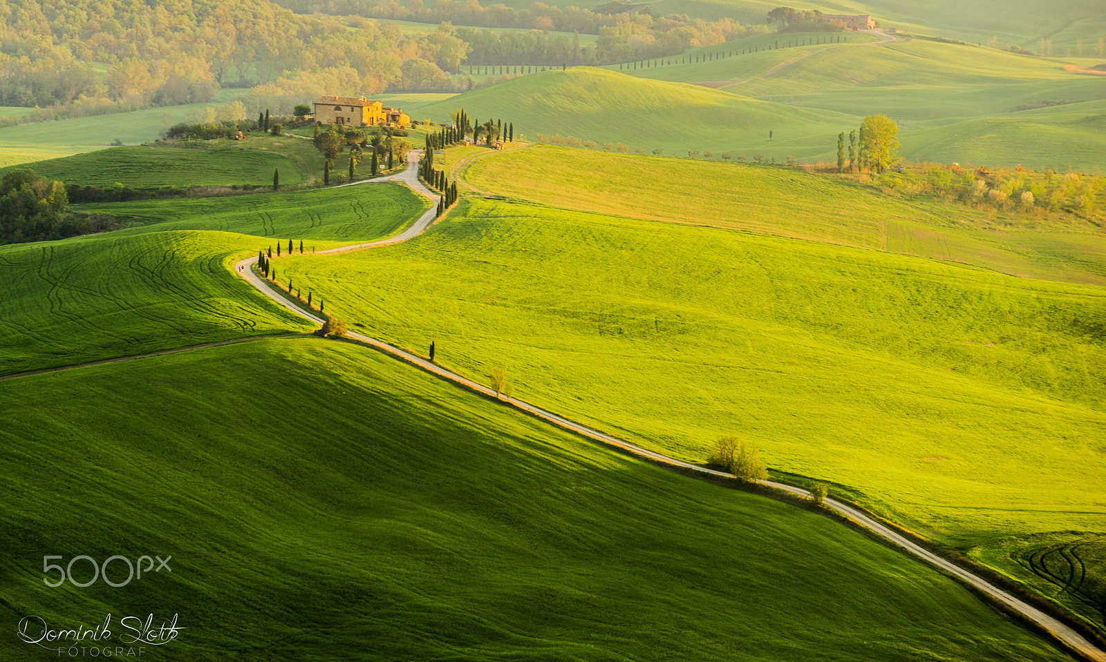 AF-S Zoom-Nikkor 80-200mm f/2.8D IF-ED sample photo. Toscana photography