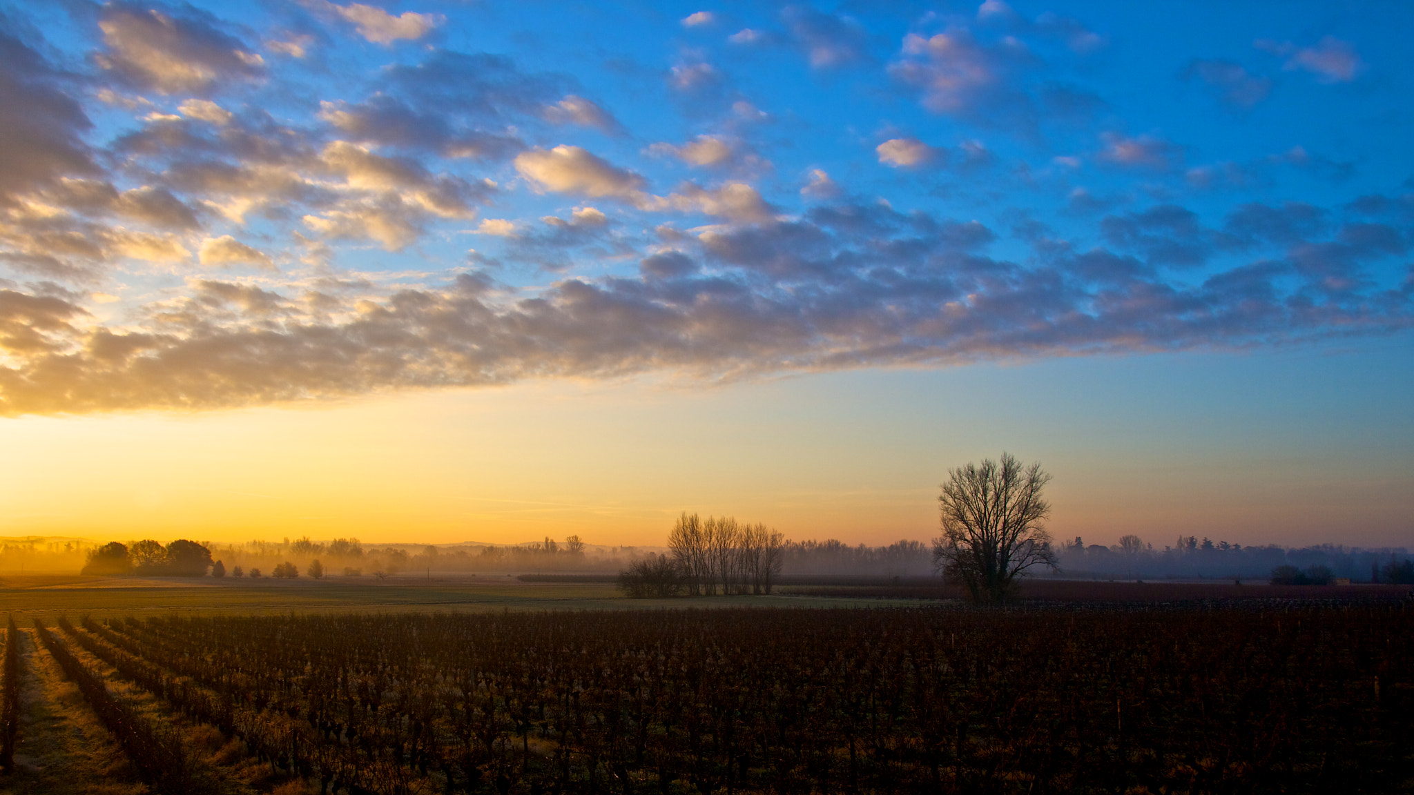Sigma 17-70mm F2.8-4 DC Macro OS HSM sample photo. Magic morning photography