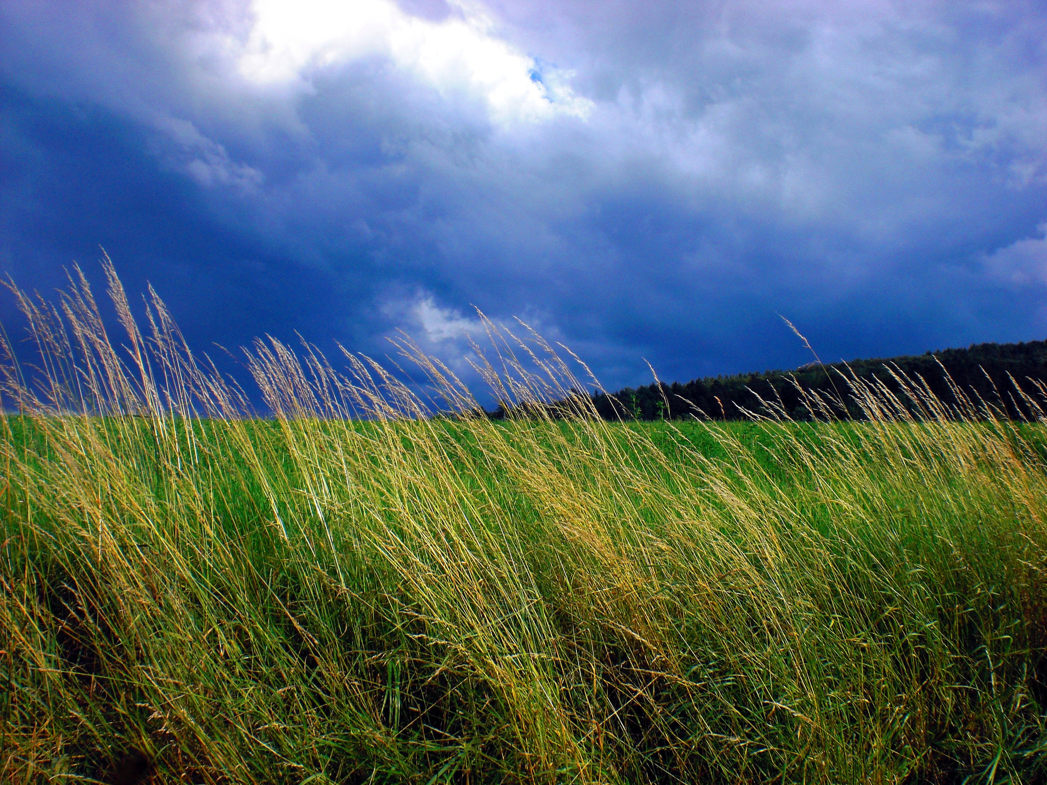 CASIO EX-Z80 sample photo. Mighty clouds photography
