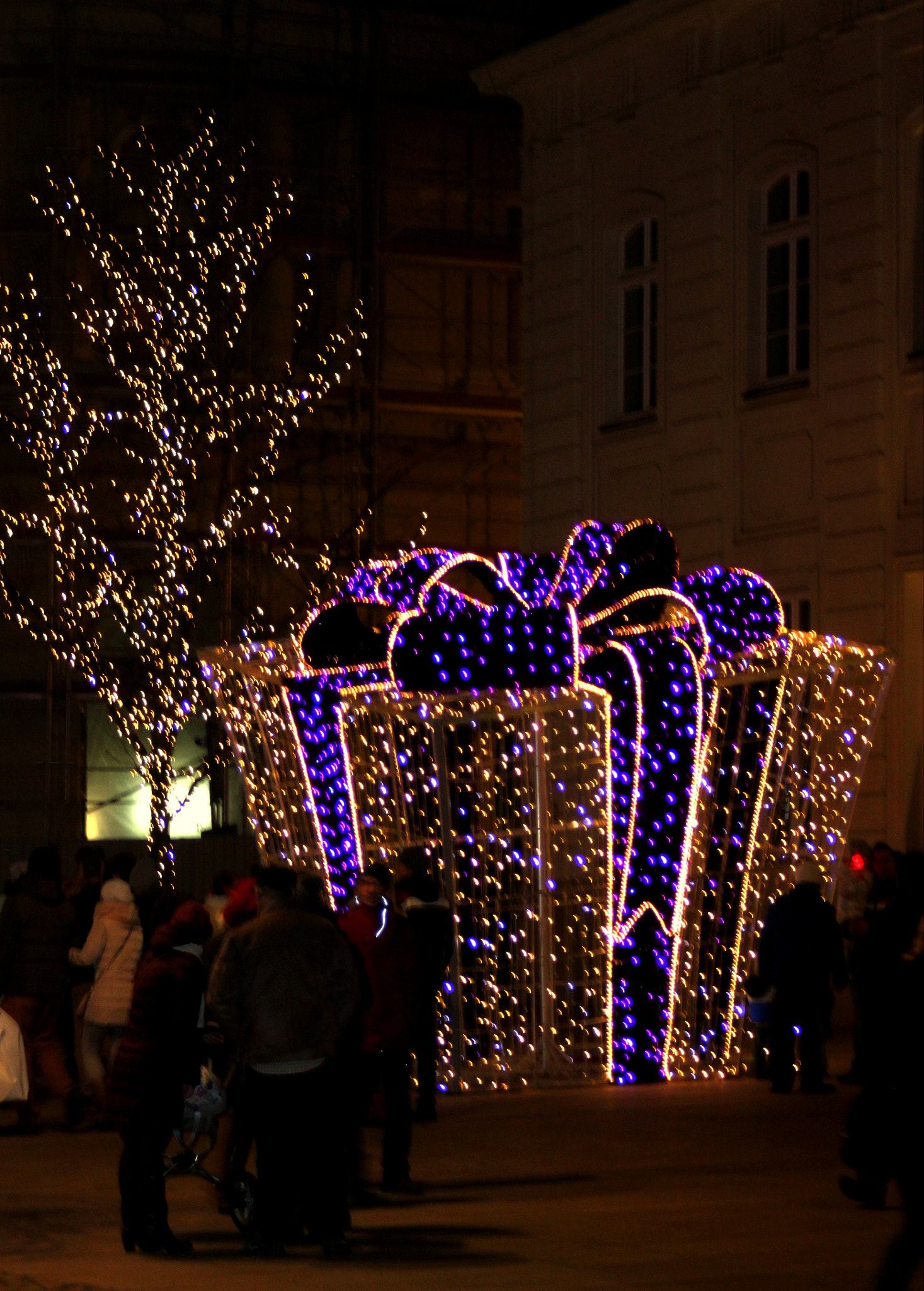 Canon EF 28-90mm f/4-5.6 sample photo. Gift photography