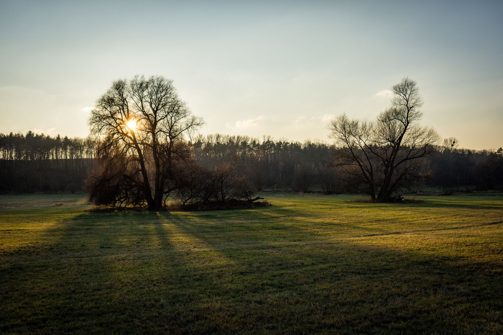 Nikon D7200 + Nikon AF Nikkor 24mm F2.8D sample photo. Short walk at the grassland near the river photography