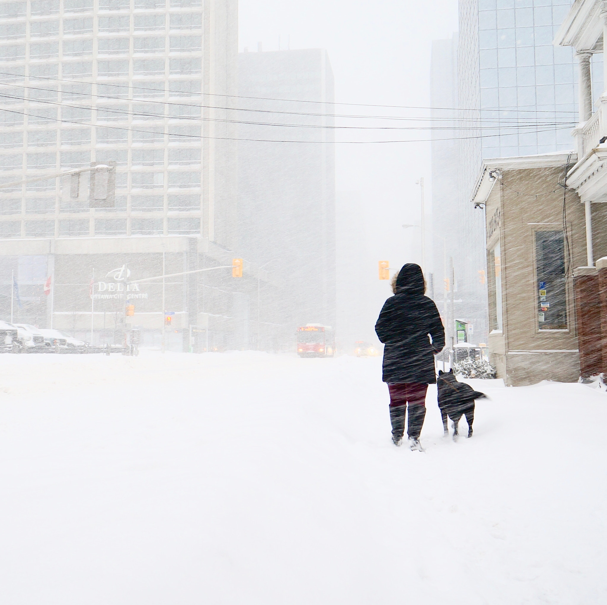 Sony Alpha NEX-6 + Sony E 16mm F2.8 sample photo. Braving the blizzard photography