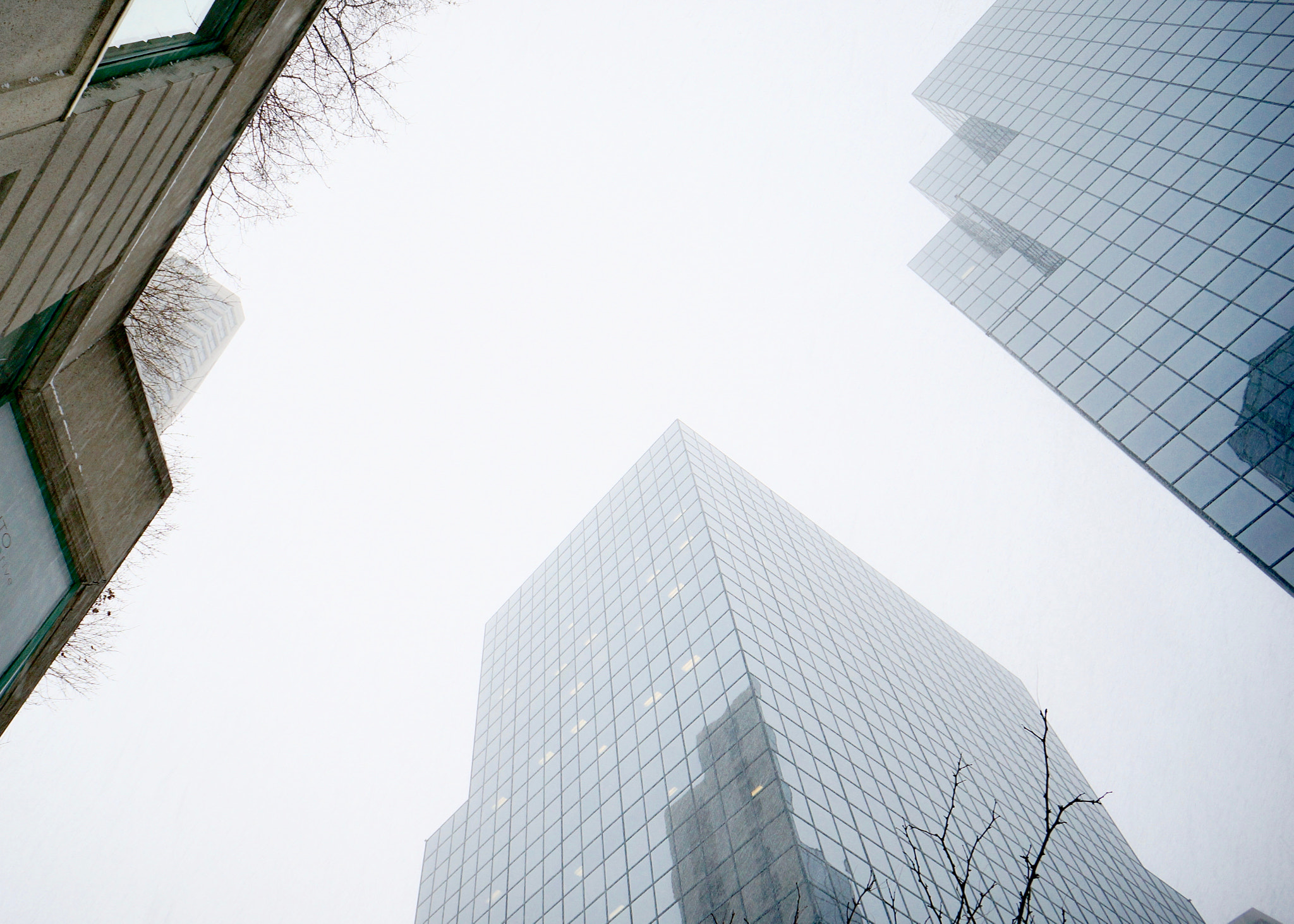 Sony Alpha NEX-6 + Sony E 16mm F2.8 sample photo. Looking up in a snow storm photography