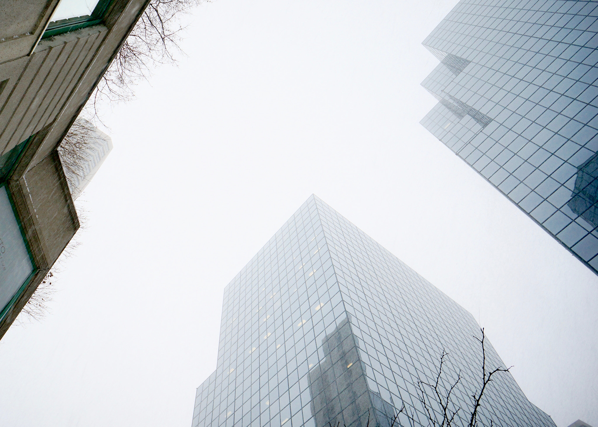 Sony E 16mm F2.8 sample photo. Looking up in a snow storm photography