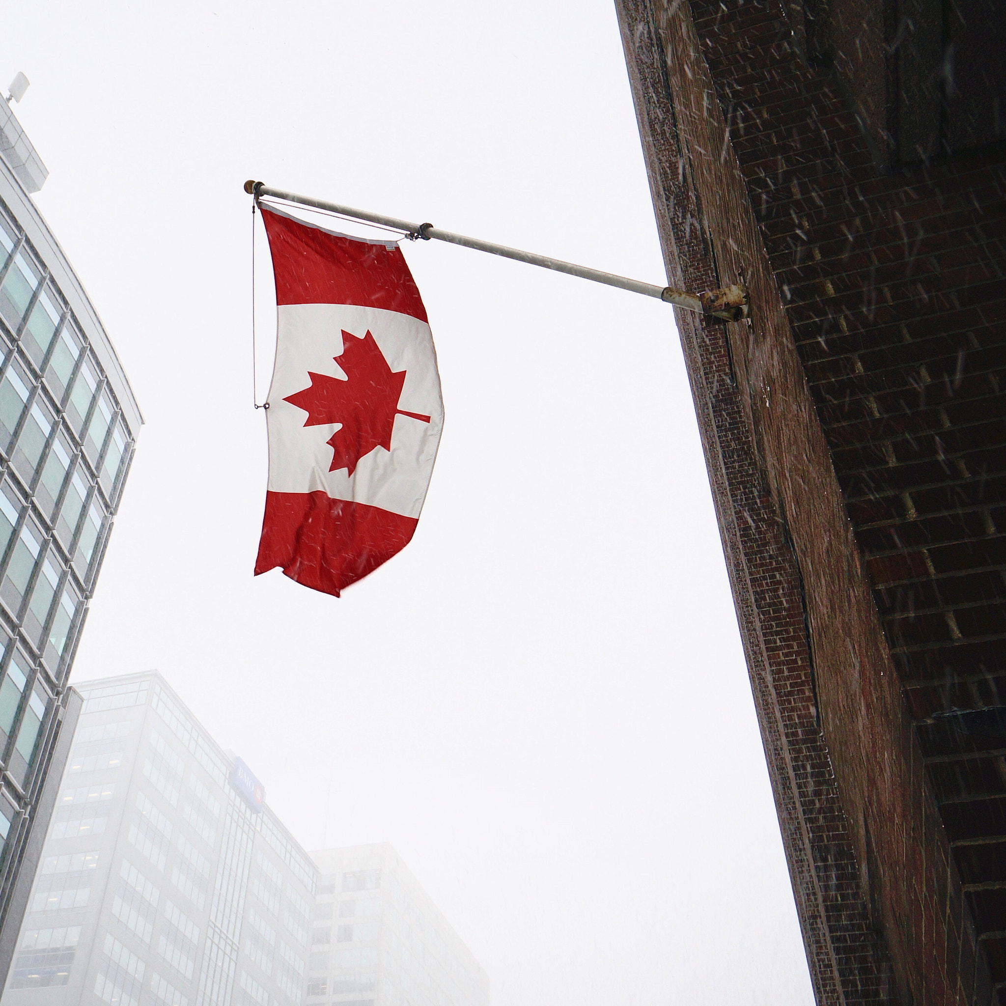 Sony Alpha NEX-6 + Sony E 16mm F2.8 sample photo. Oh, canada. photography