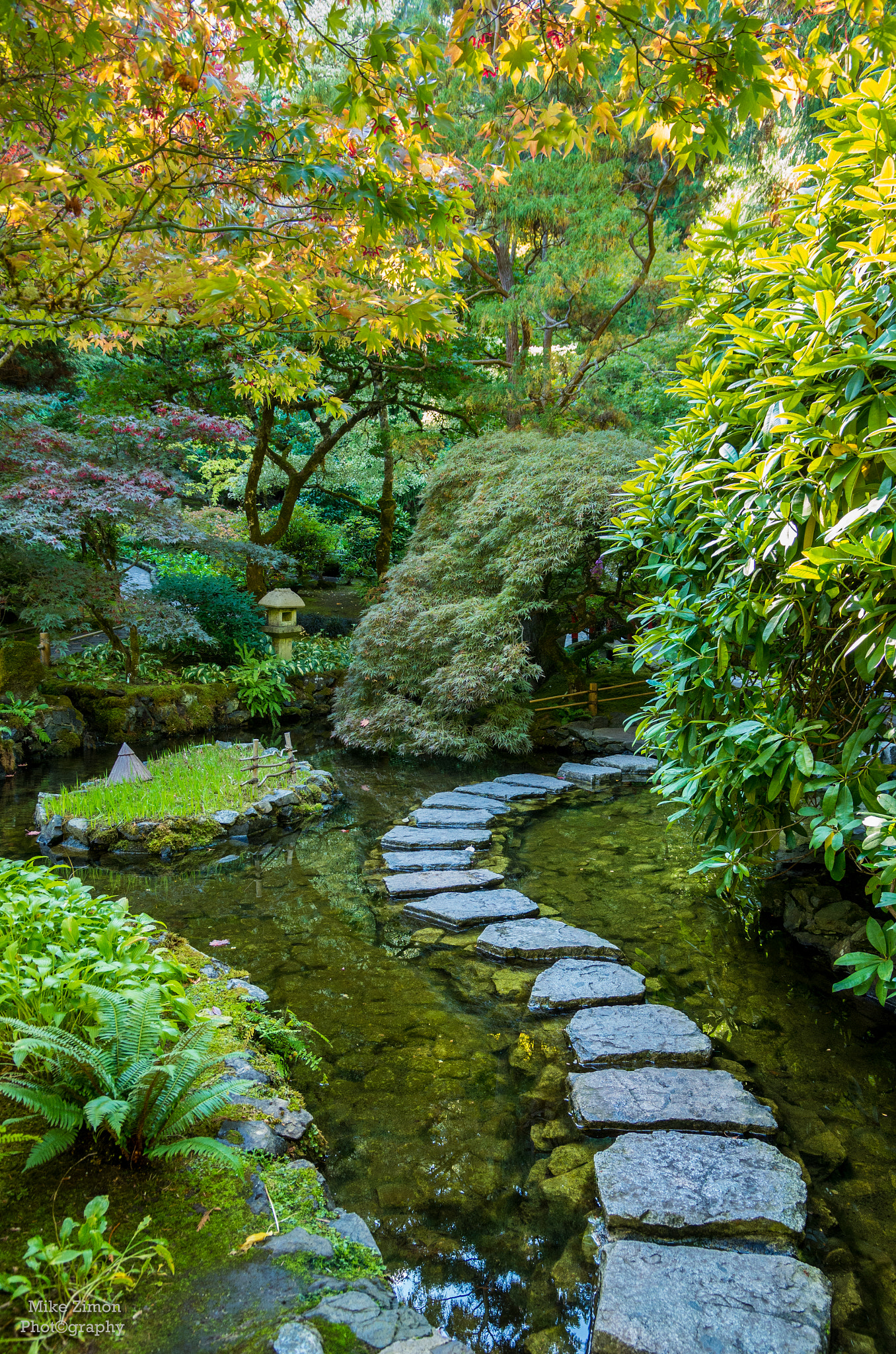 Pentax K-5 IIs sample photo. Floating pathway photography