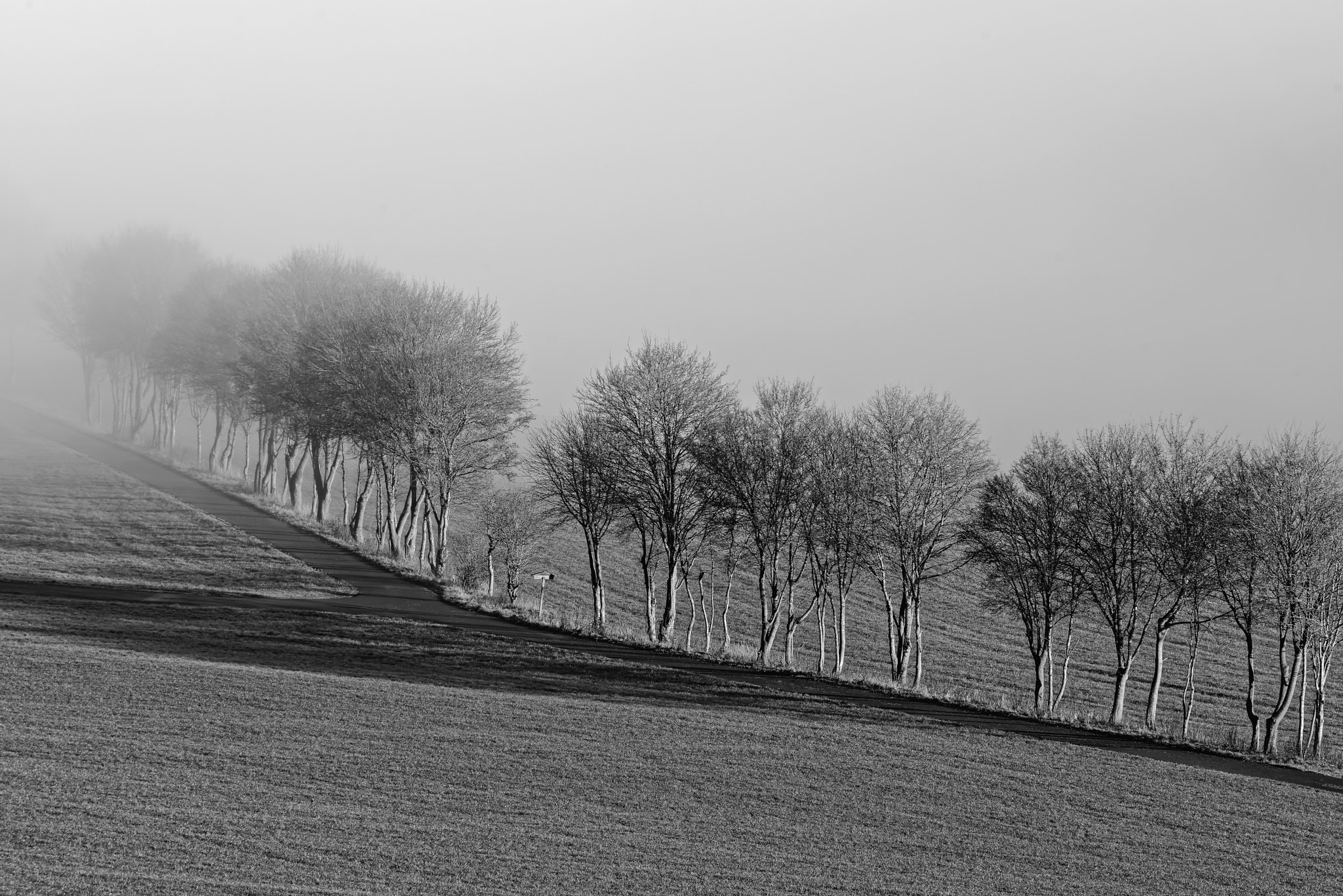 Nikon D800 + Nikon AF Nikkor 180mm F2.8D ED-IF sample photo. Fog in the eifel photography