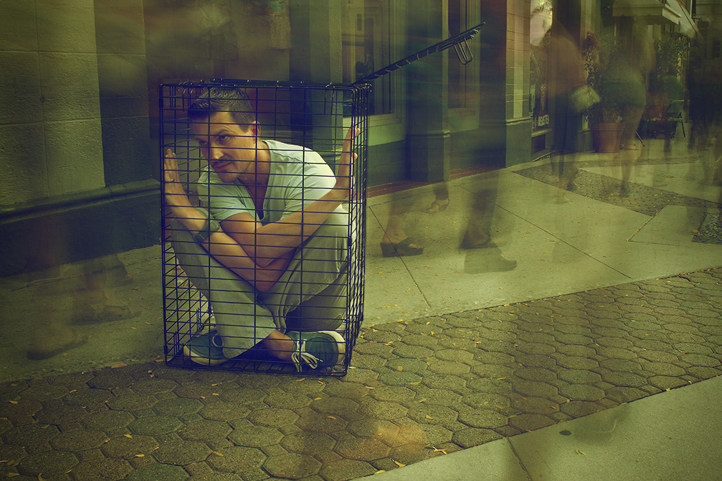 Canon EOS 7D + Canon EF 24mm F2.8 sample photo. Caged in sm photography