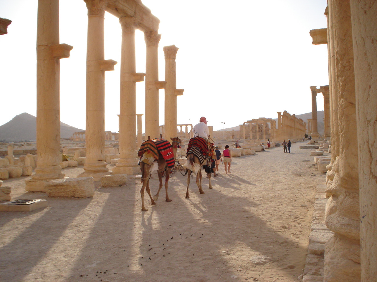 Sony DSC-P43 sample photo. Palmyra ruins photography