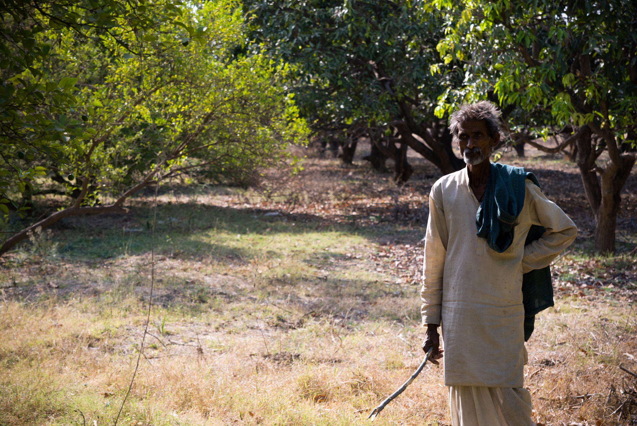 Nikon D60 sample photo. Mango farmer photography