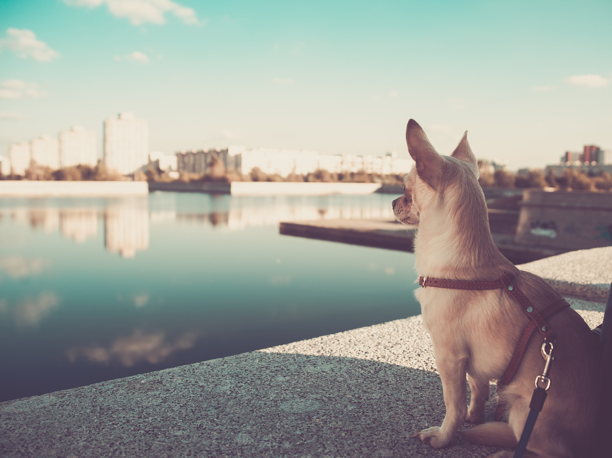 Sigma 28-105mm F2.8-4 Aspherical sample photo. And the big world around... photography