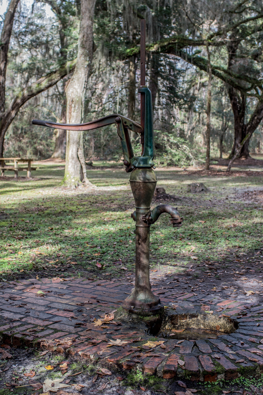 Canon EF 35mm F1.4L USM sample photo. Charleston day 6 photography
