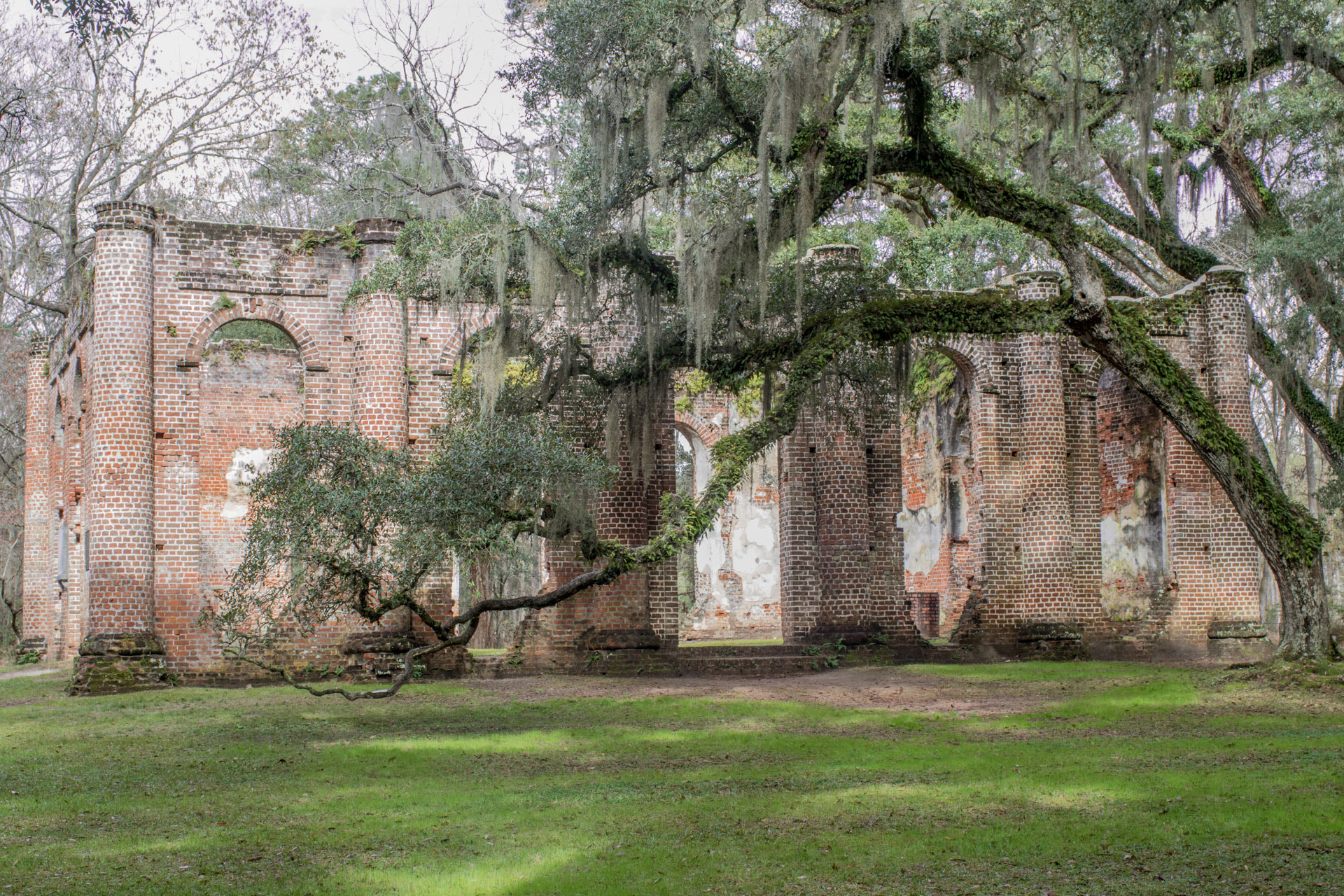 Canon EF 35mm F1.4L USM sample photo. Charleston day 6 photography