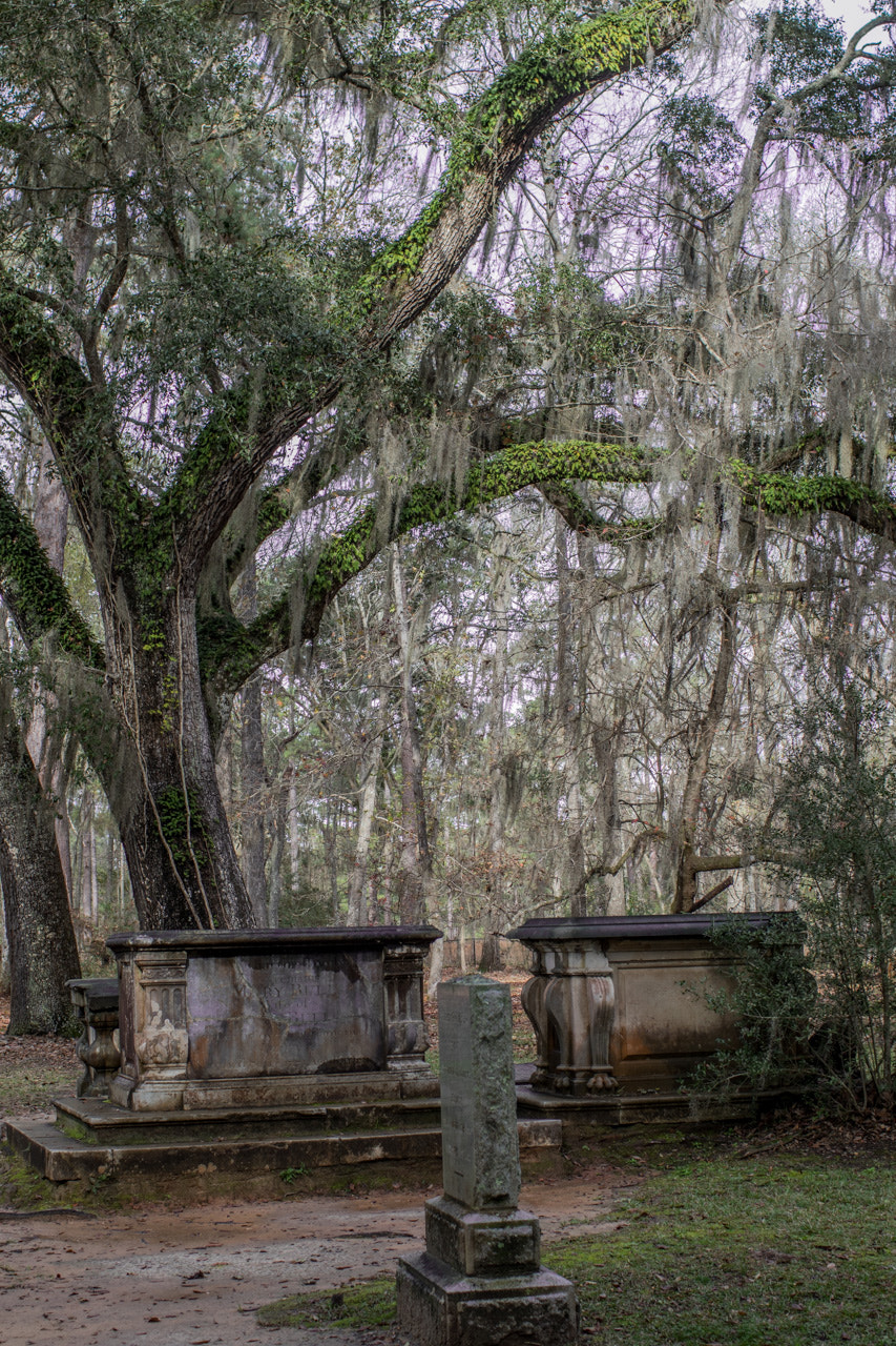 Canon EF 35mm F1.4L USM sample photo. Charleston day 6 photography