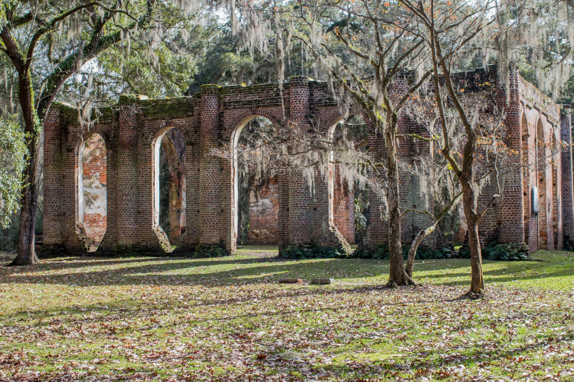 Canon EF 35mm F1.4L USM sample photo. Charleston day 6 photography