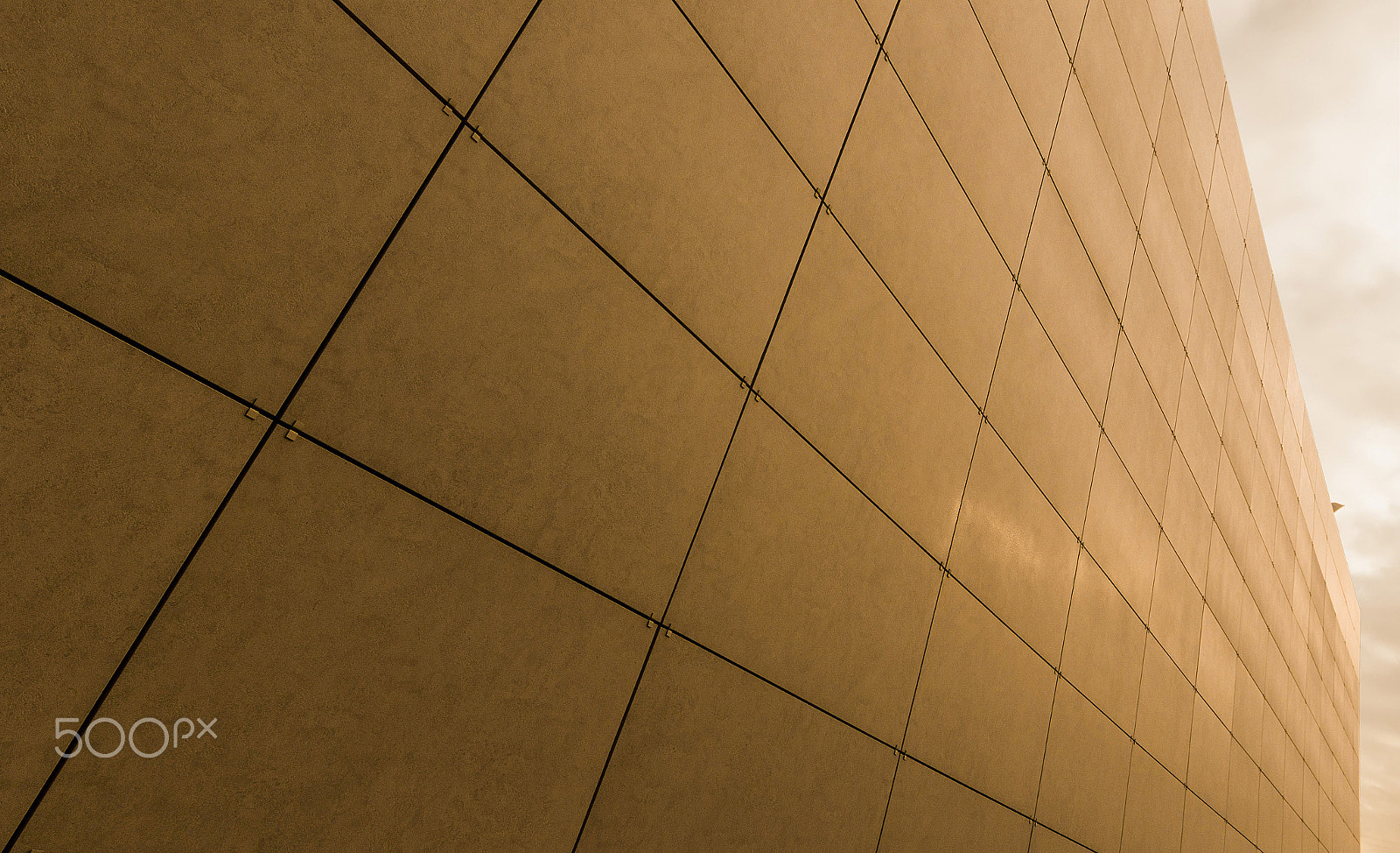 Sigma 12-24mm F4.5-5.6 II DG HSM sample photo. ..gold.. photography