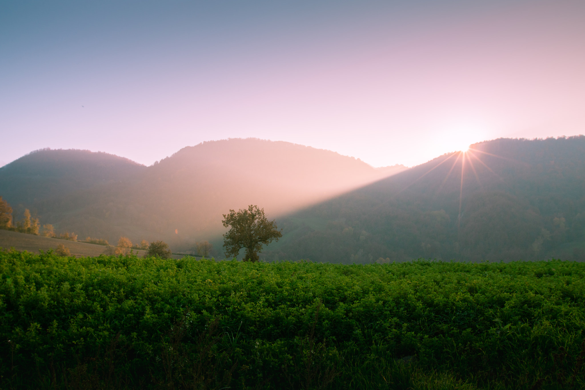Canon EOS 750D (EOS Rebel T6i / EOS Kiss X8i) sample photo. Tramonto in collina photography
