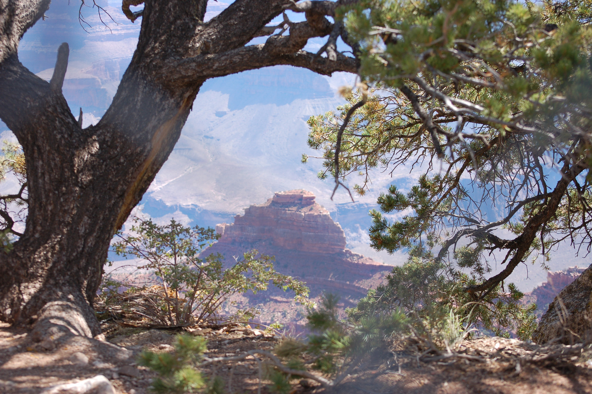 Nikon D50 sample photo. The view photography