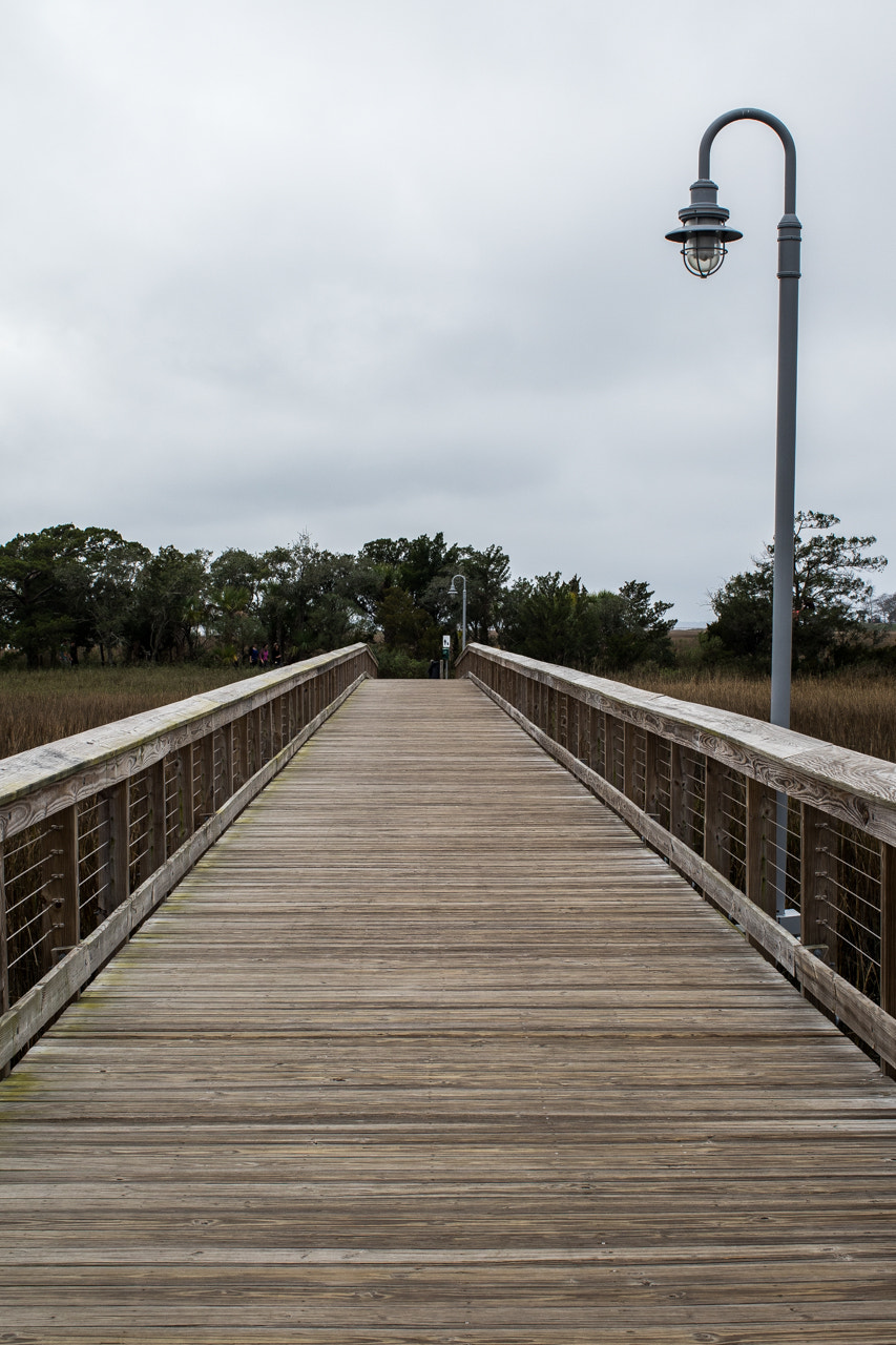 Canon EF 35mm F1.4L USM sample photo. Charleston day 7 photography