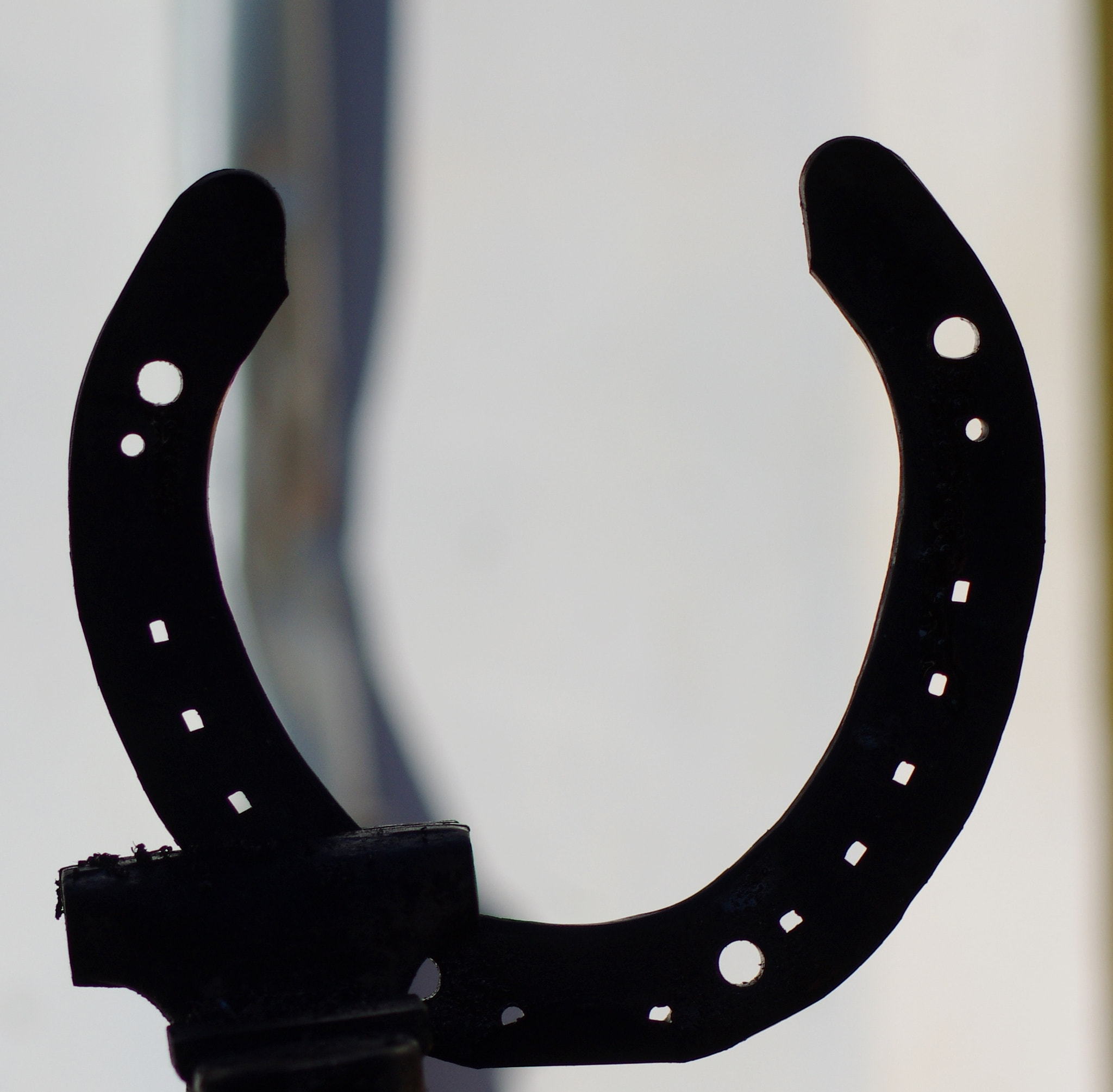 Tamron AF 70-300mm F4-5.6 Di LD Macro sample photo. Blacksmid photography