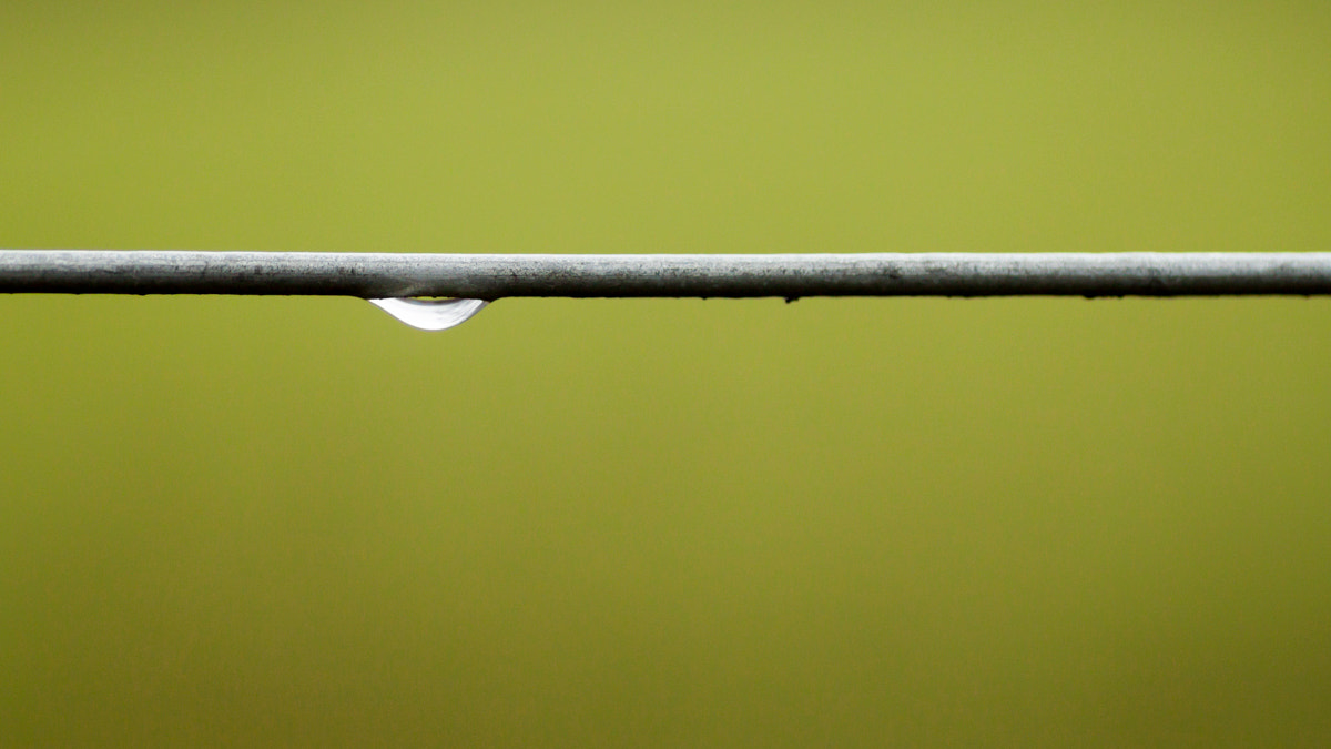 Canon EOS 500D (EOS Rebel T1i / EOS Kiss X3) + Tamron SP AF 90mm F2.8 Di Macro sample photo. Water drop on green background photography