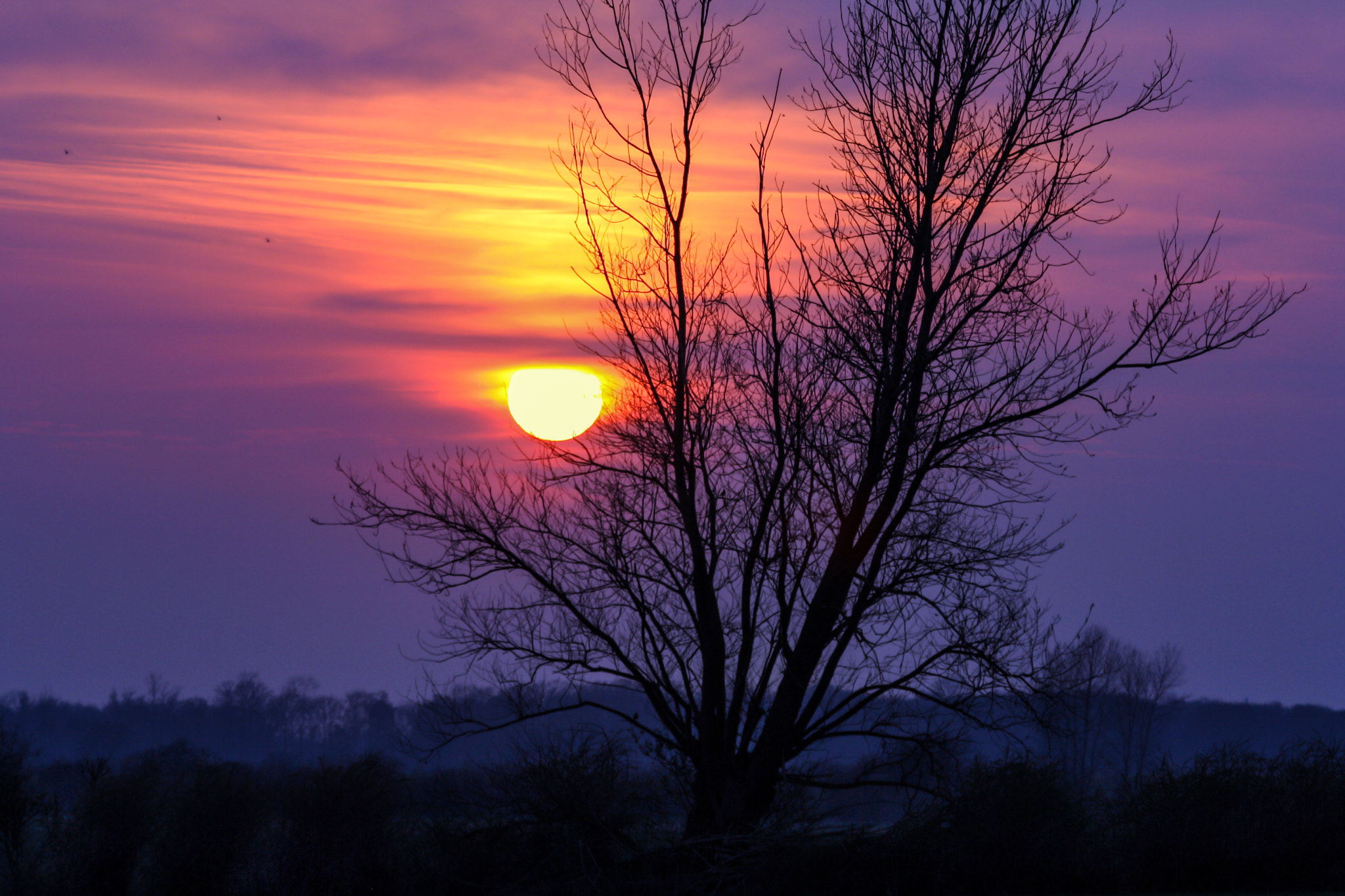 Canon EF 70-300mm F4-5.6 IS USM sample photo. Good night photography