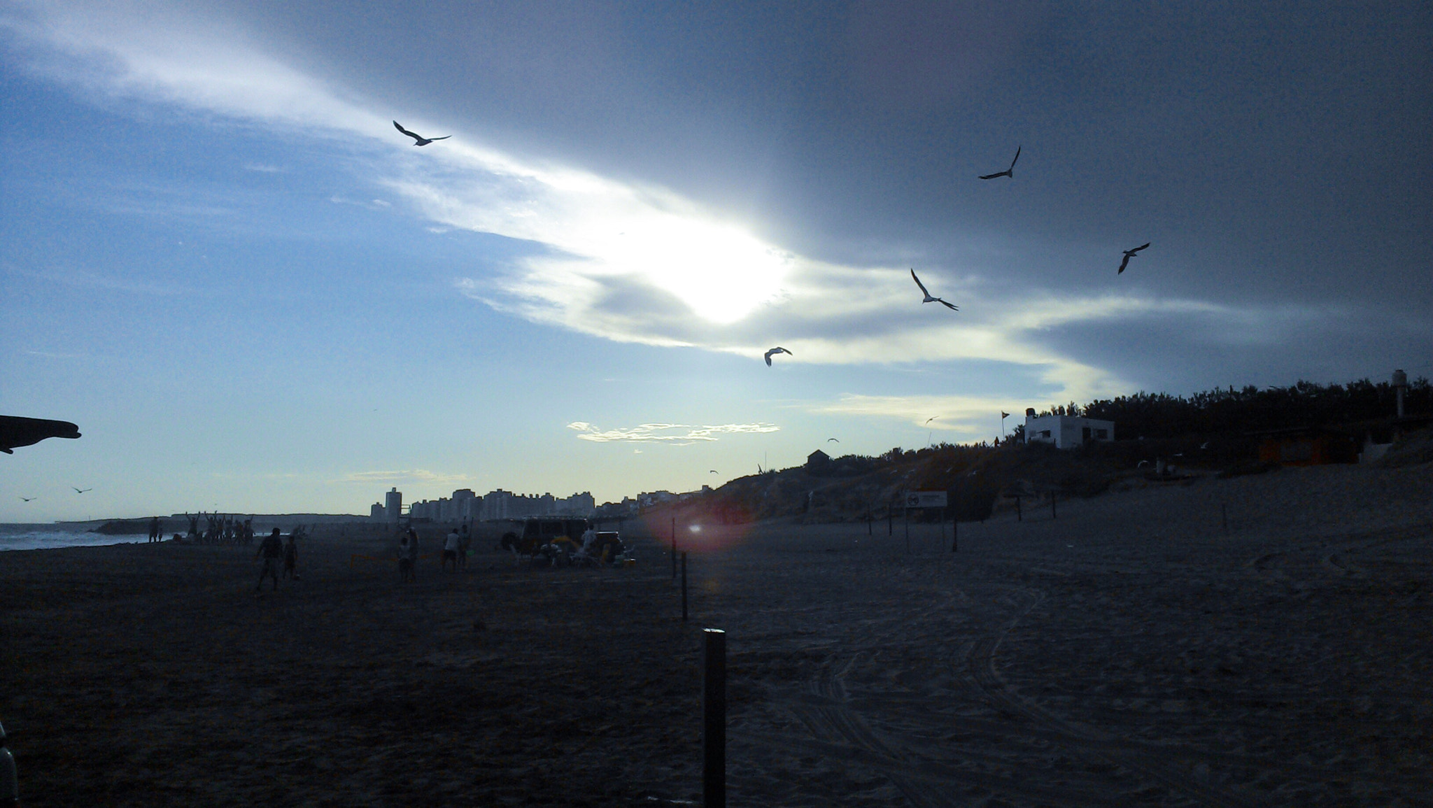 Motorola RAZR i sample photo. Seagull frenzy photography