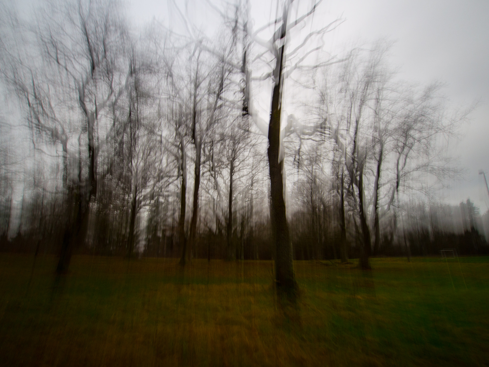 Olympus PEN E-PL5 + OLYMPUS M.9-18mm F4.0-5.6 sample photo. Scary trees 3 photography