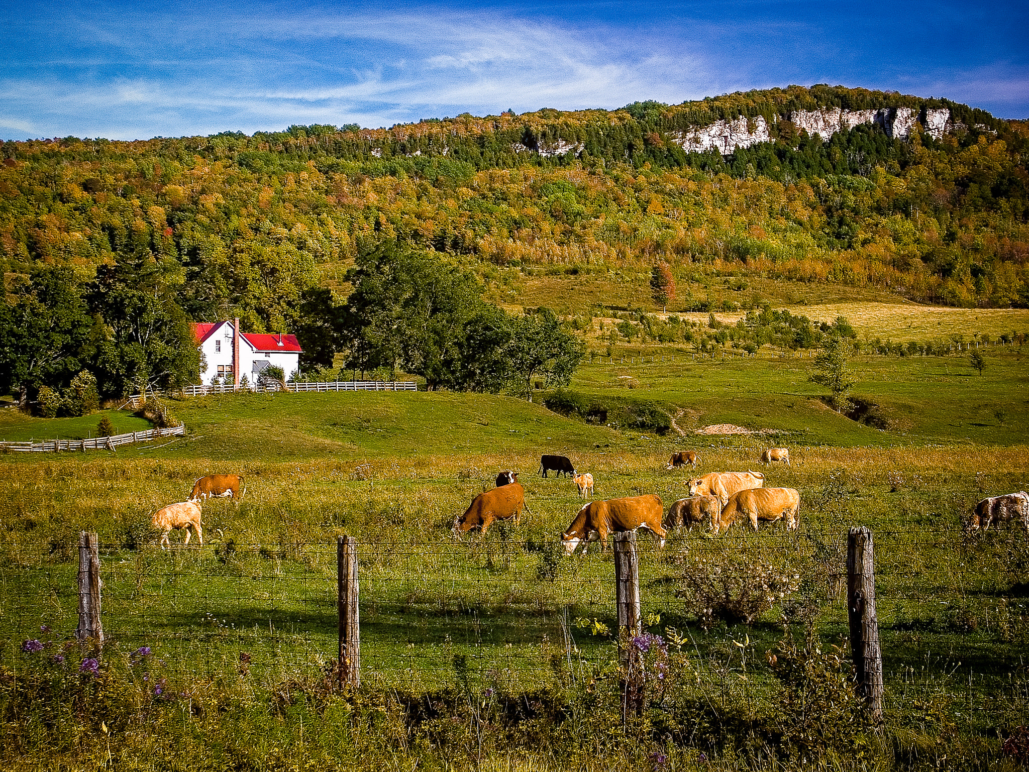 KONICA MINOLTA DiMAGE A2 sample photo. Beaver valley farm photography