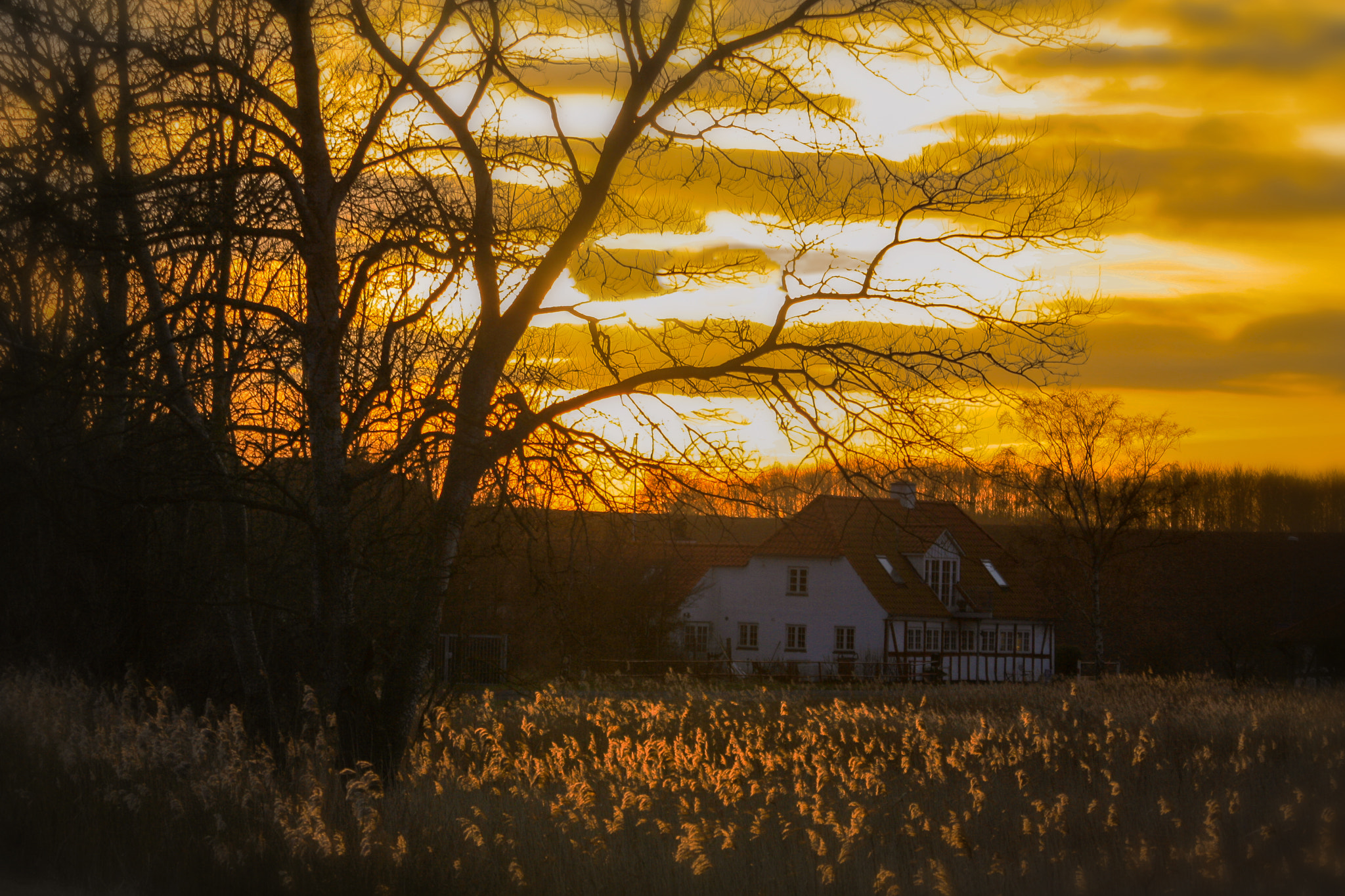 Canon EF 70-300mm F4-5.6 IS USM sample photo. Moment before the dark photography