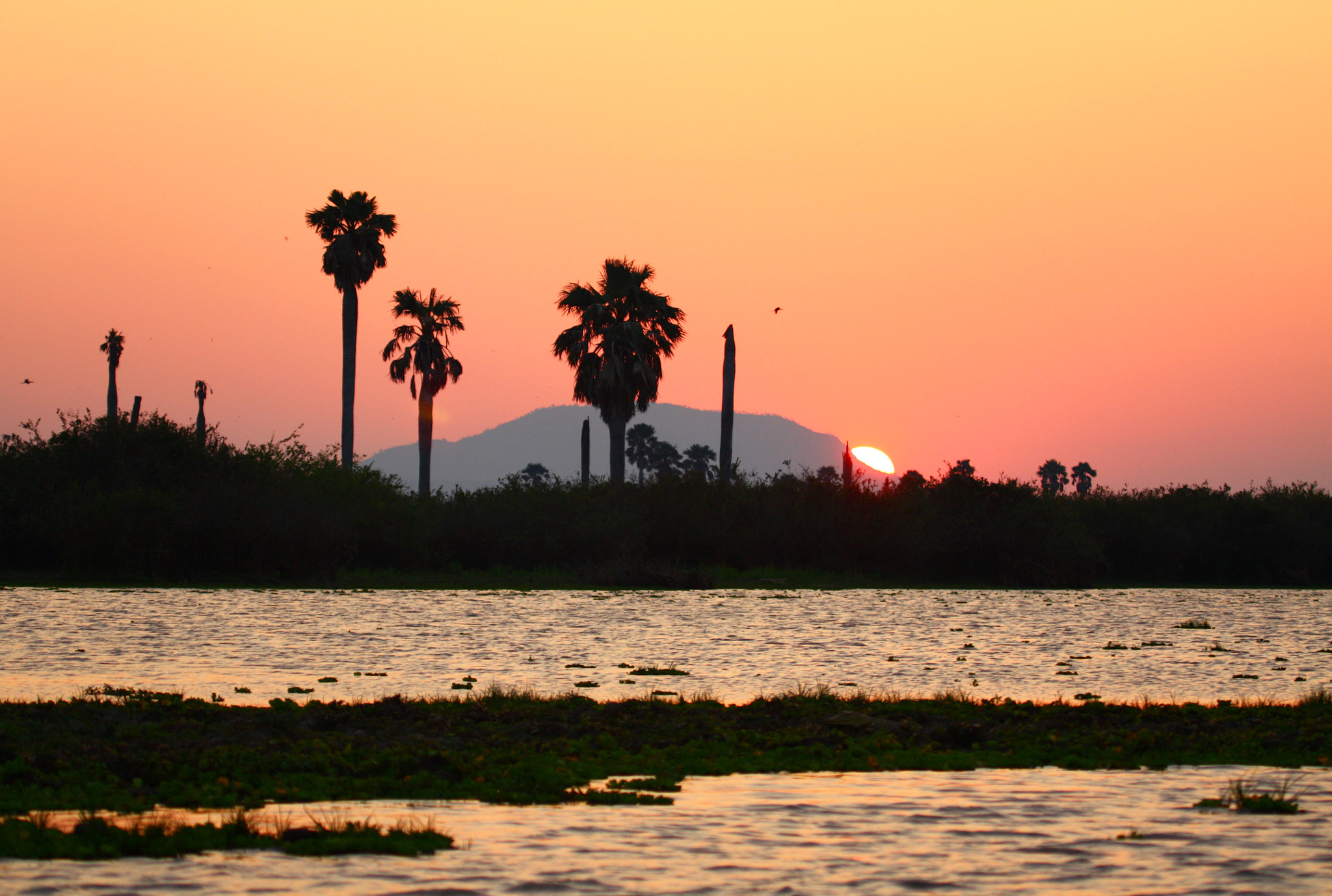 Canon EF 100-400mm F4.5-5.6L IS USM sample photo. Selous sunset 2 photography