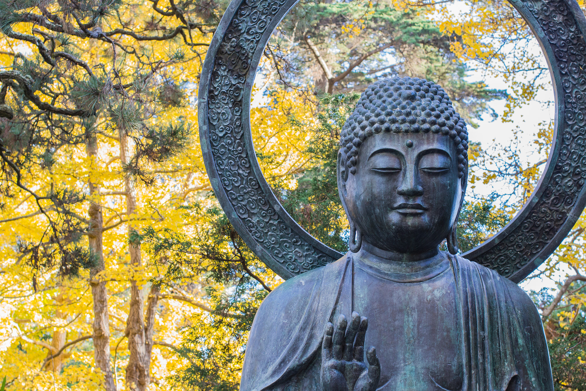 Canon EF 40mm F2.8 STM sample photo. Buddha in the fall photography