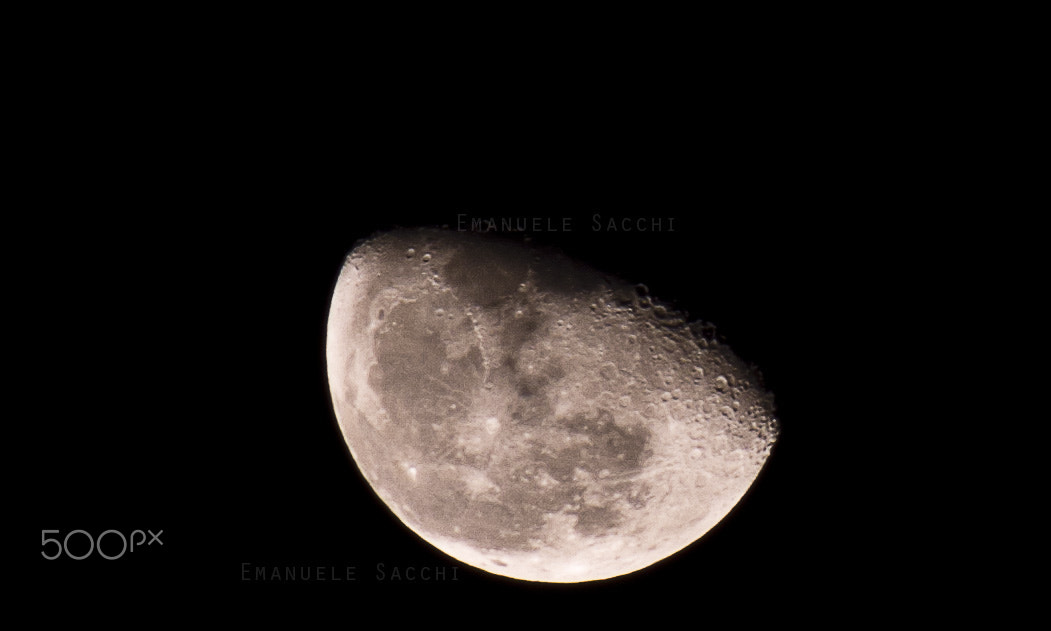 Tamron AF 70-300mm F4-5.6 Di LD Macro sample photo. Luna photography