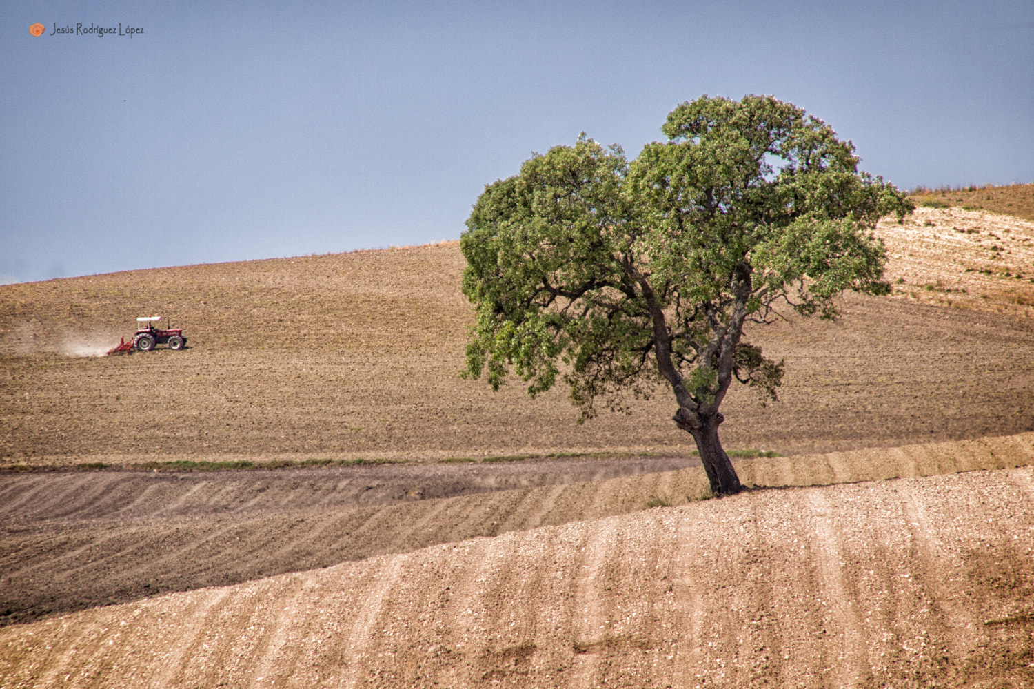 Olympus E-5 + OLYMPUS 18mm-180mm Lens sample photo. Subsistencia photography